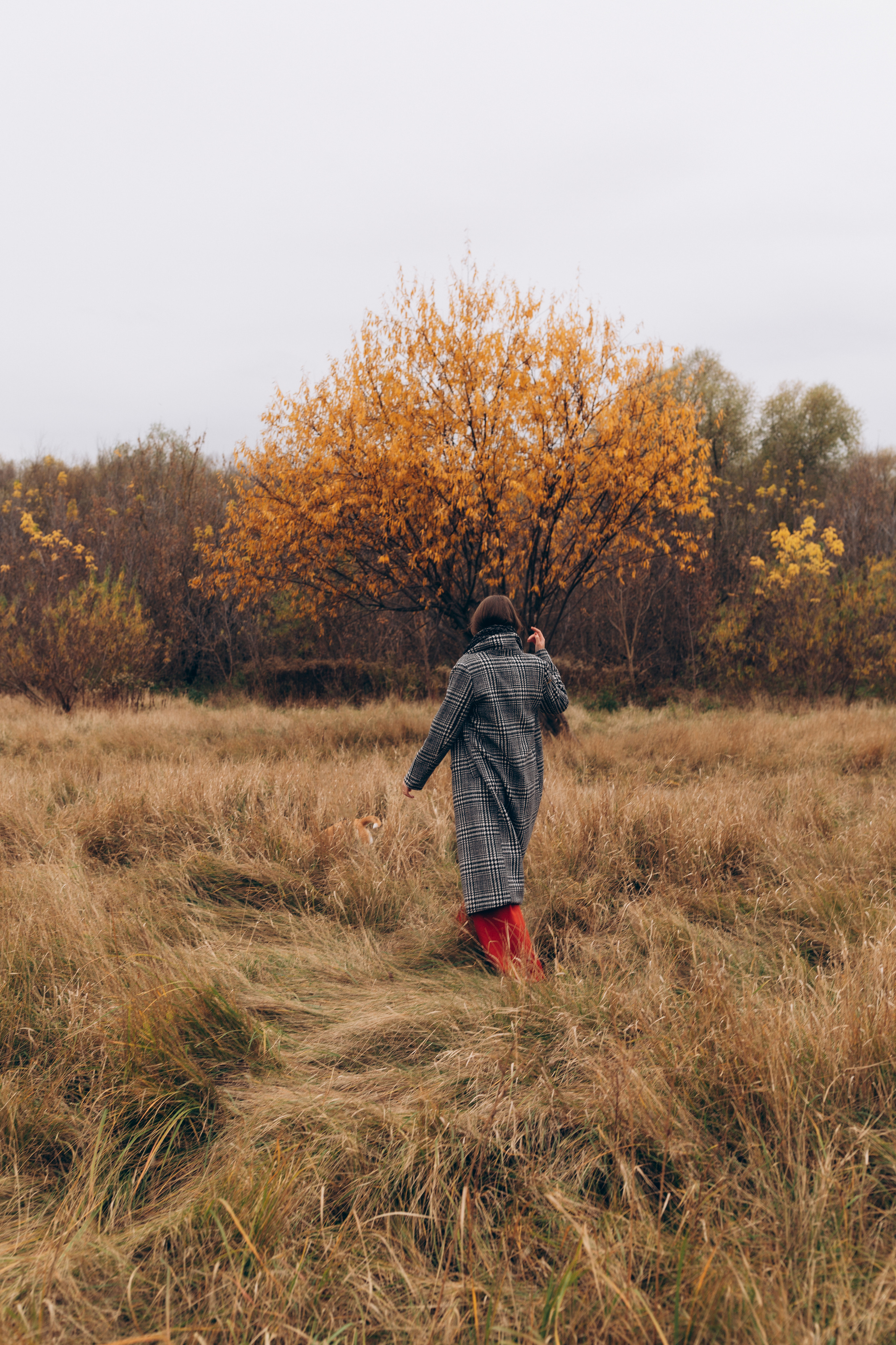 DIANA&DORIS. Family photographer in Stockholm Oksana Matviyiv