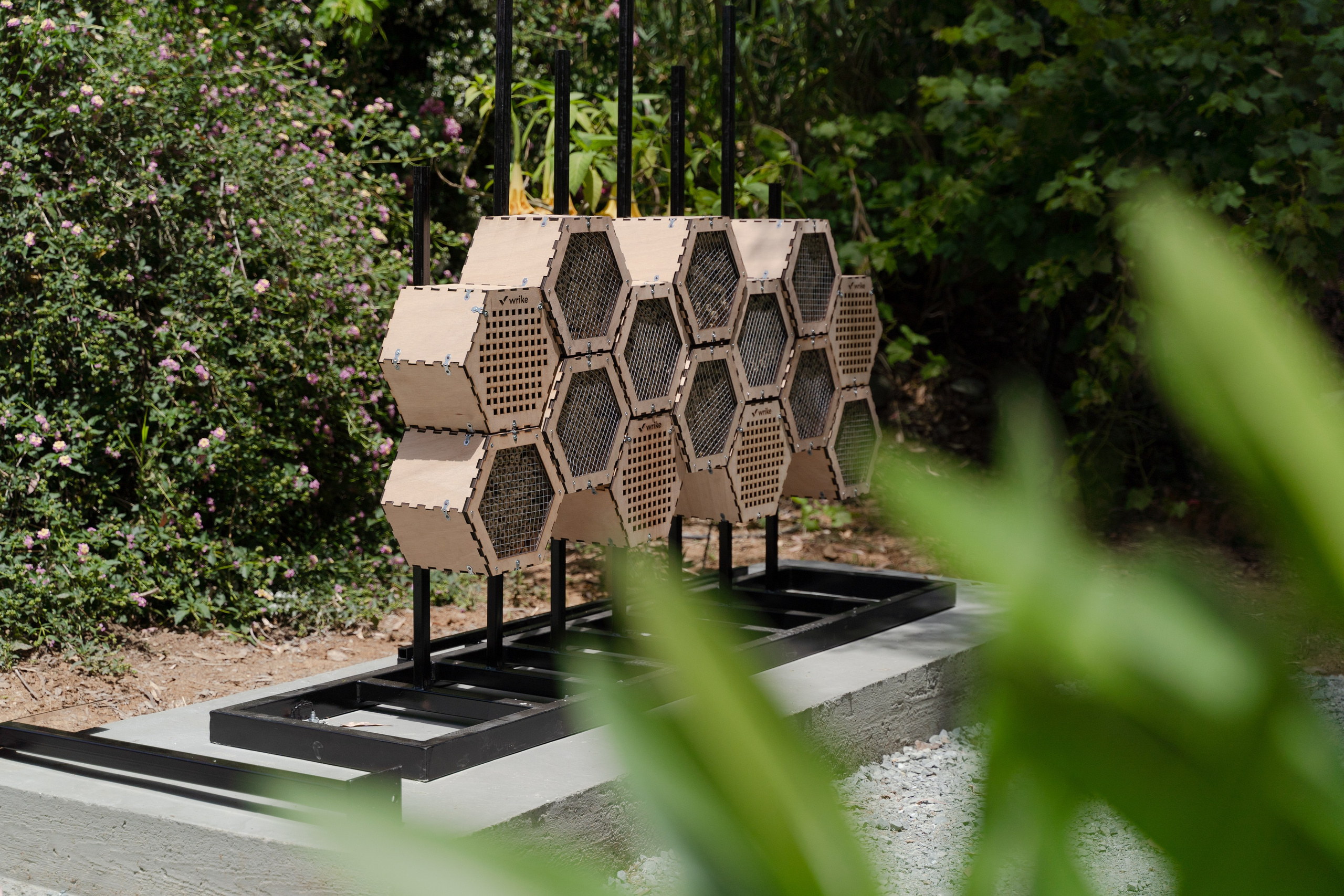 Events. Maryna Avramenko Photographer