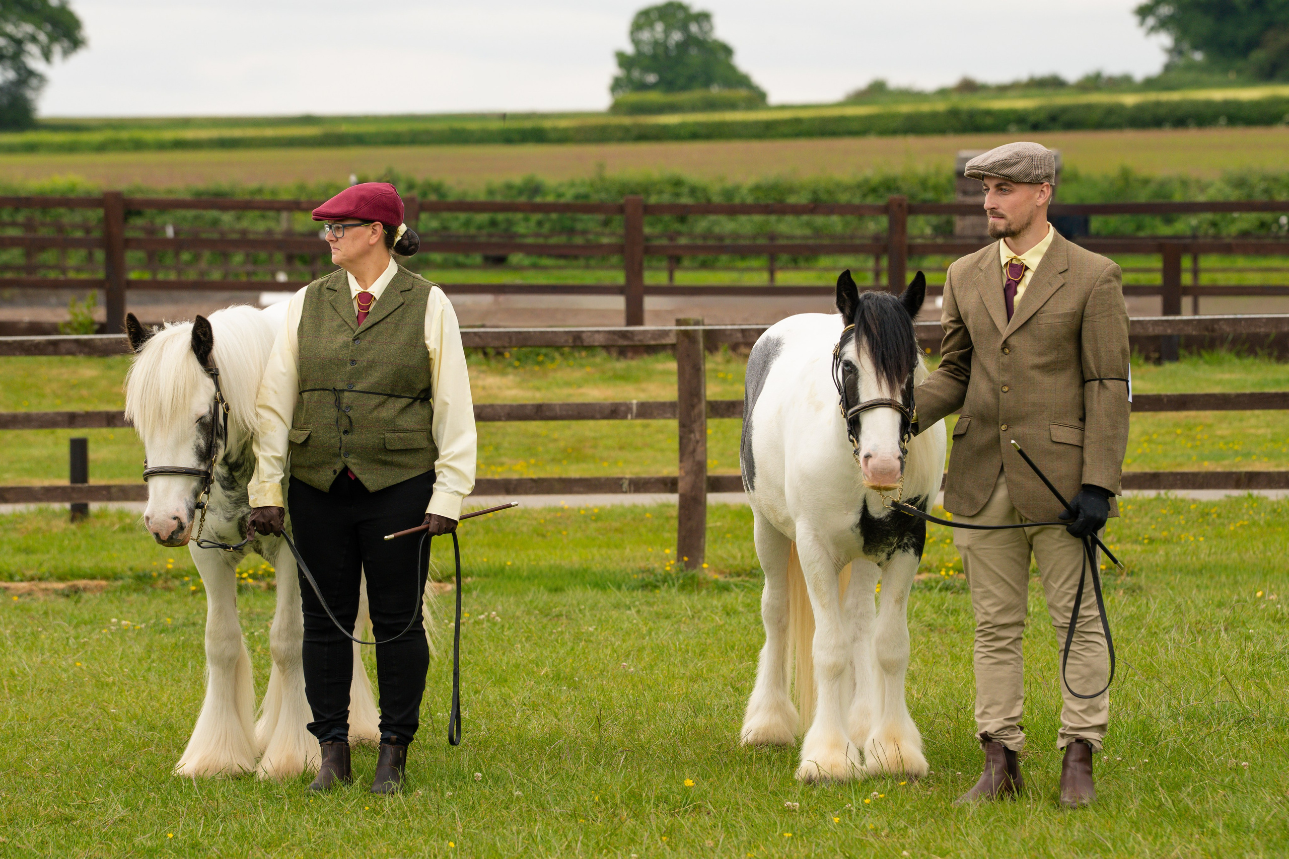 Showing. Leicestershire Equine Photography by El | Authentic Equine Portraits & Events