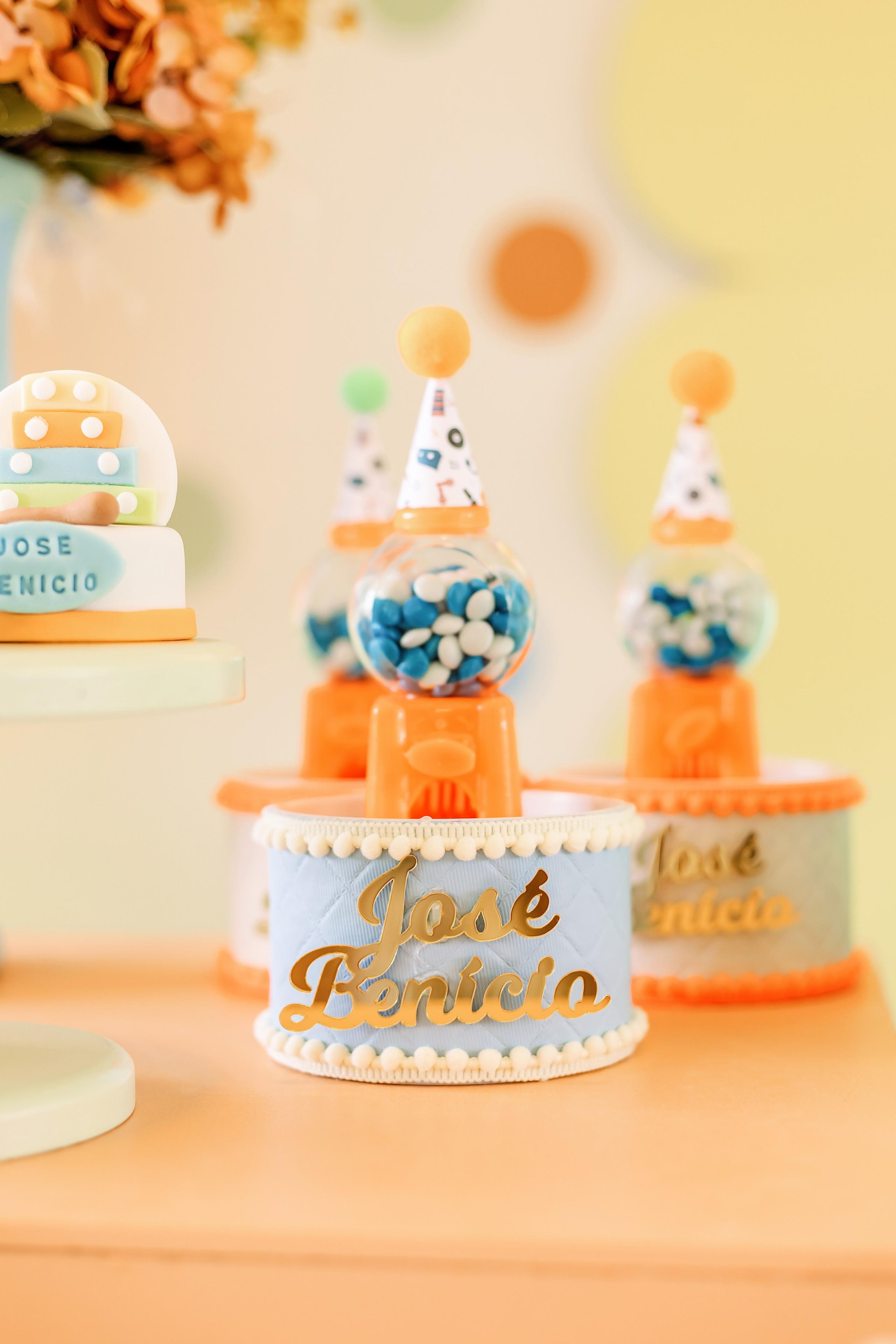 ANIVERSÁRIO JOSÉ BENÍCIO. Eu Talyssa Mendonça (Fotógrafa, Goiânia — GO)