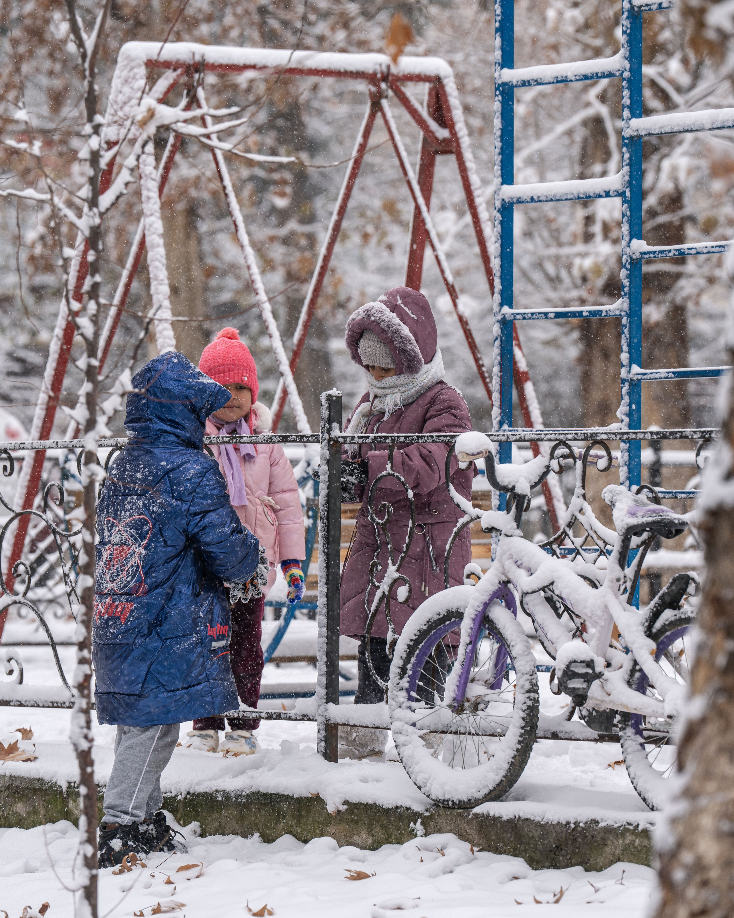 Снег. Георгий Намазов | Фотограф в Ташкенте