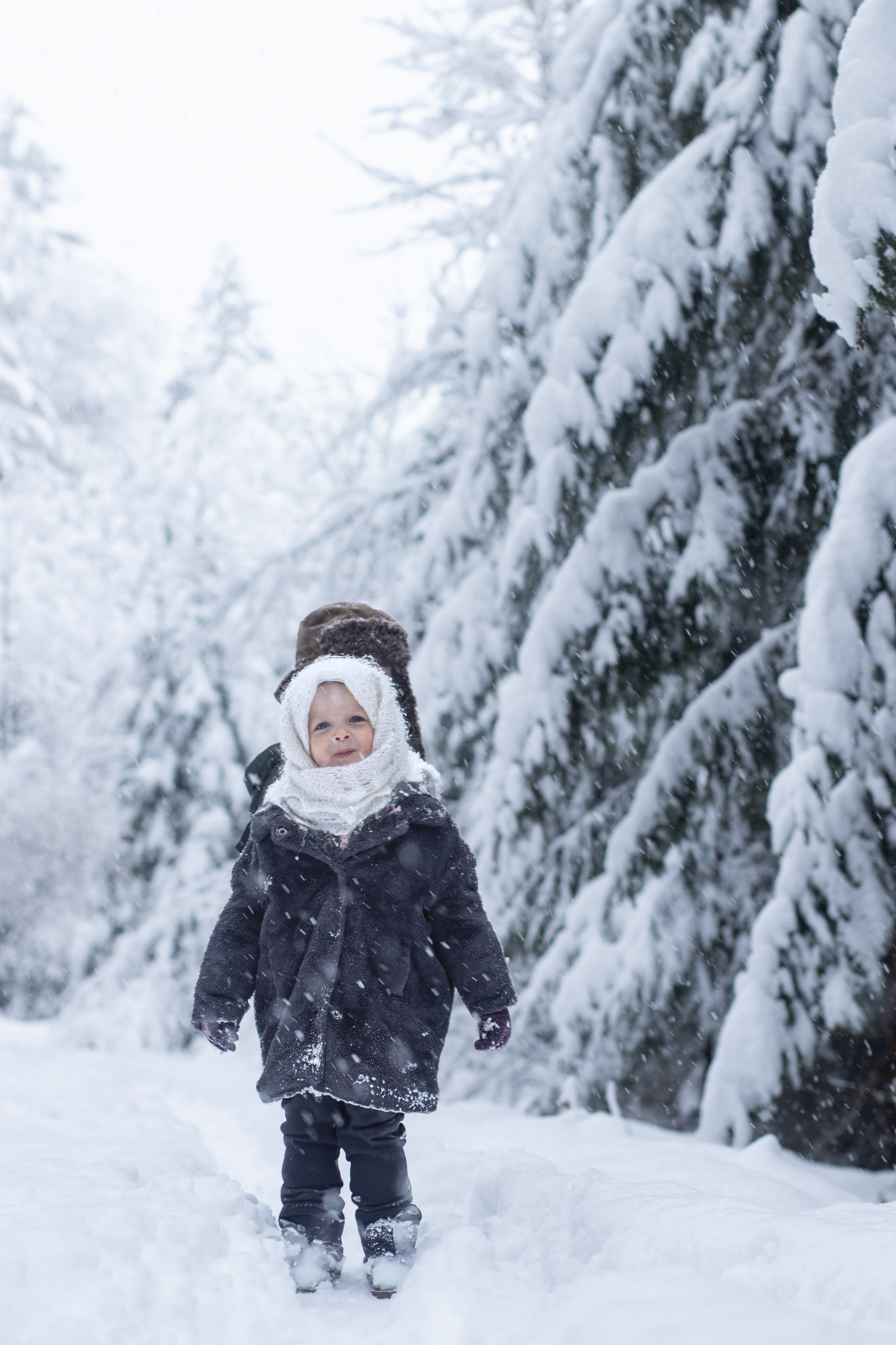 Ein Weihnachtsmärchen. Olena Fritz Fotografie