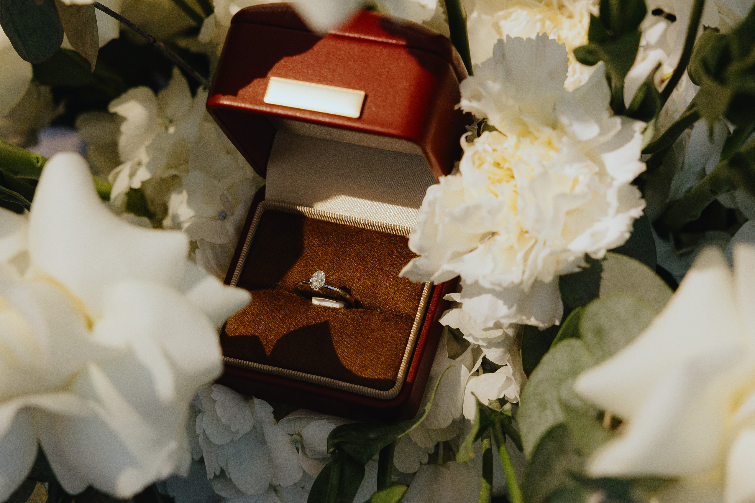 T&M. Профессиональный фотограф в Ташкенте