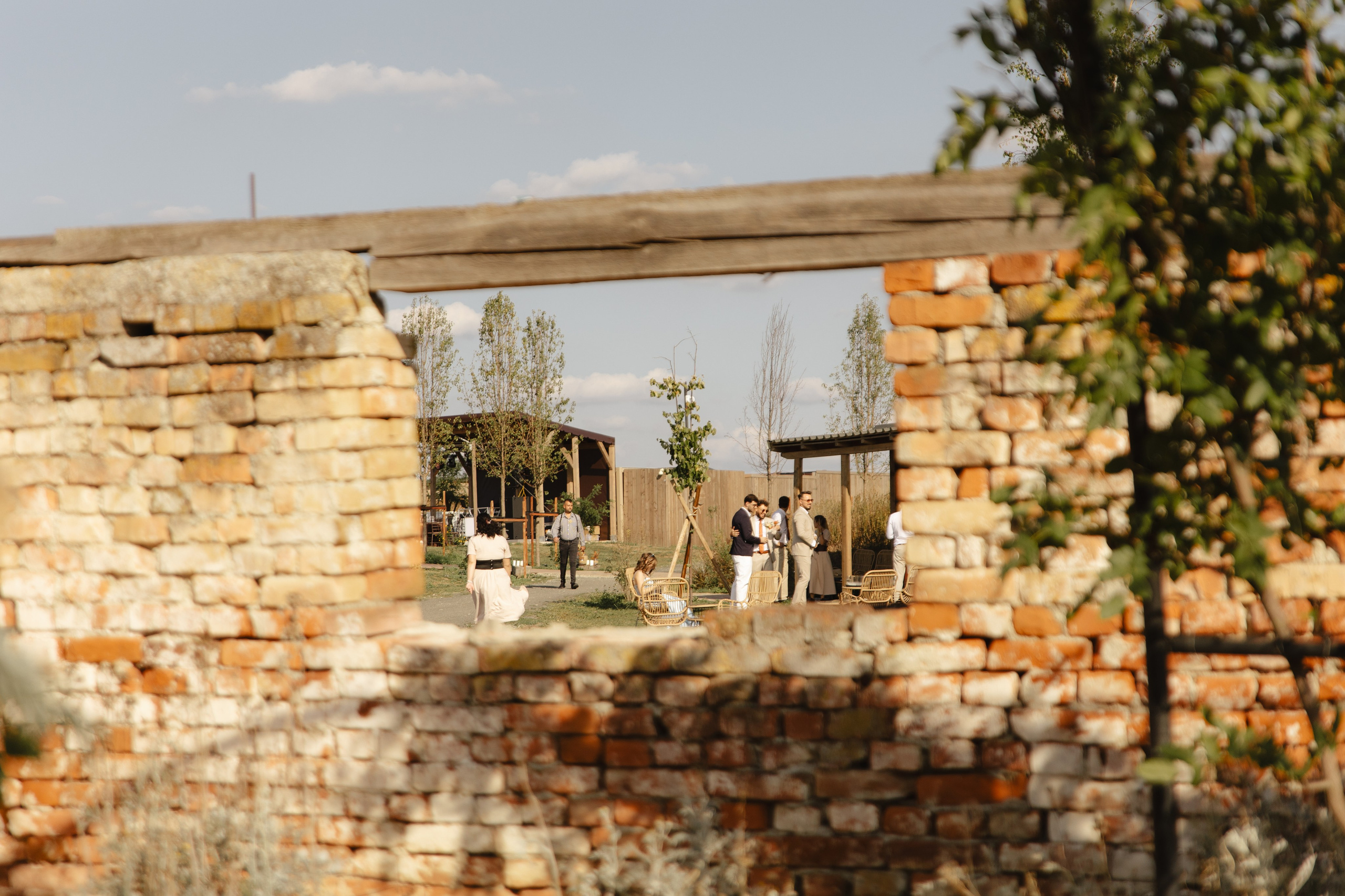 Wedding at Province Timisoara | Cristina & Robert. Wedding photographer and videographer based in Timisoara, Romania