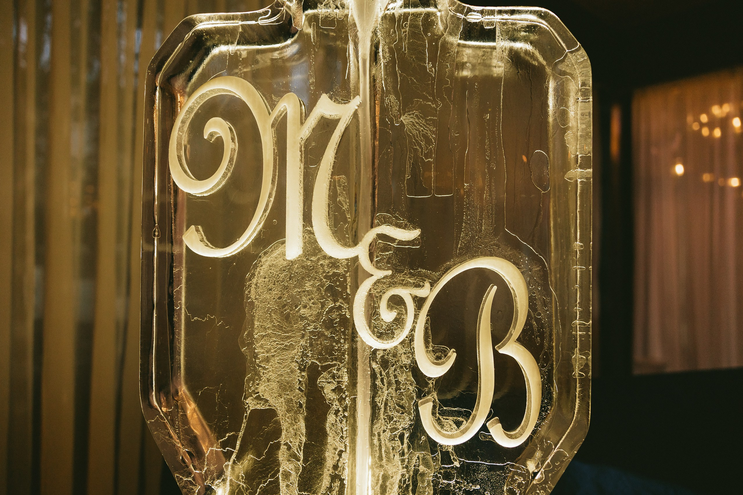 06.08.2025 Wedding. Wedding family event photographer in Chicago Nick Yushevich