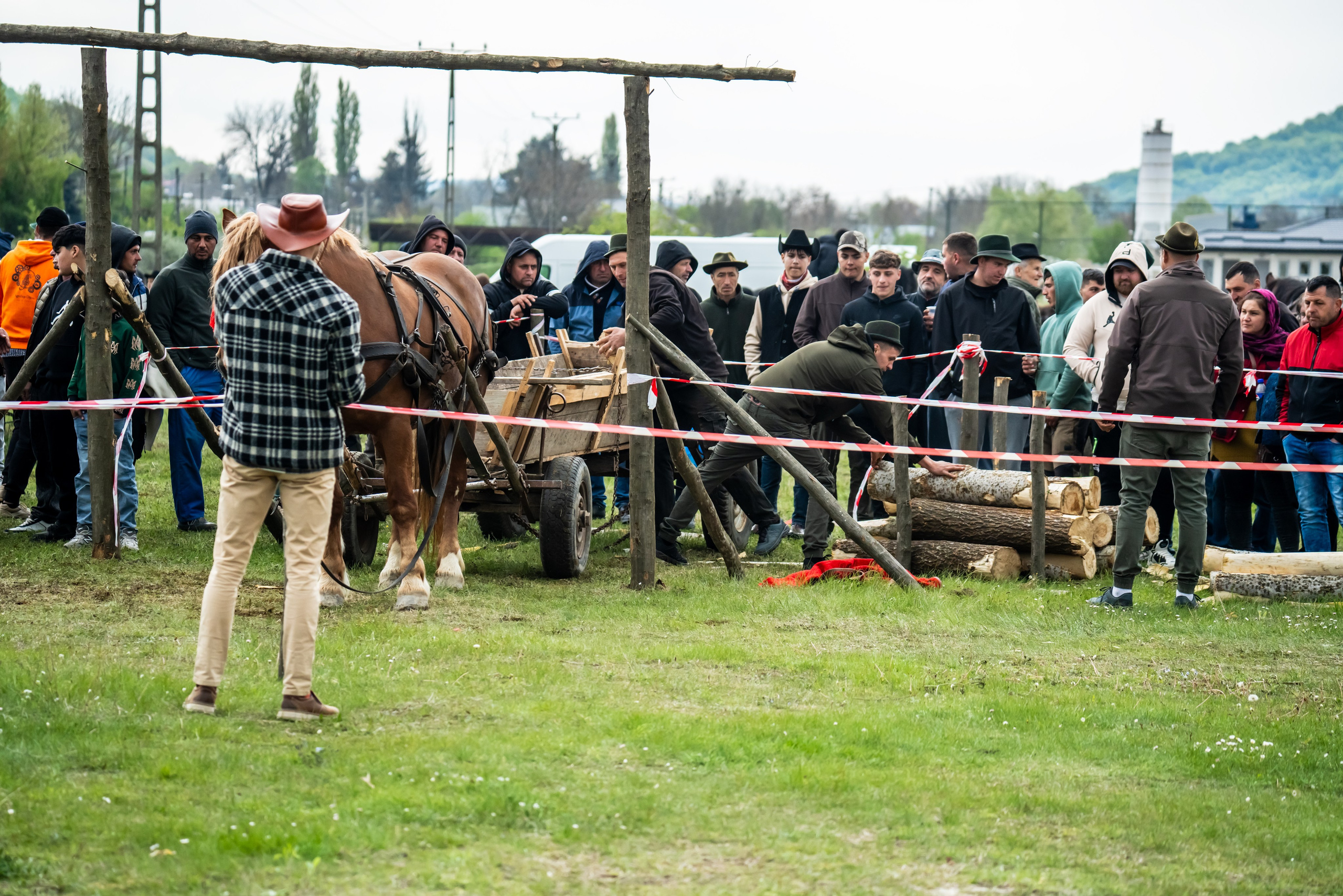 Concurs Ecvestru Vărbilău ediția a 4-a. Mihai Alexandra Events
