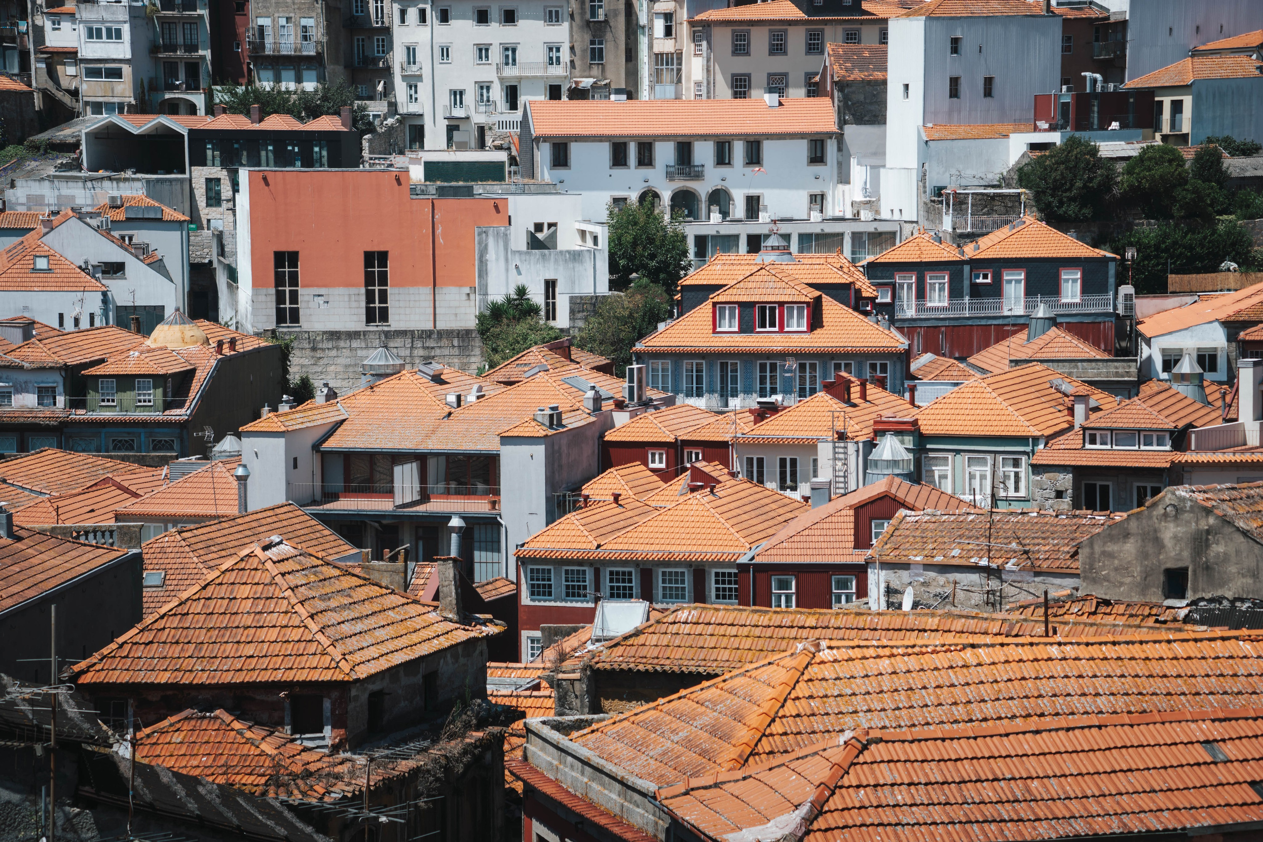 Porto, Agosto 2024. Alba del Norte Studio