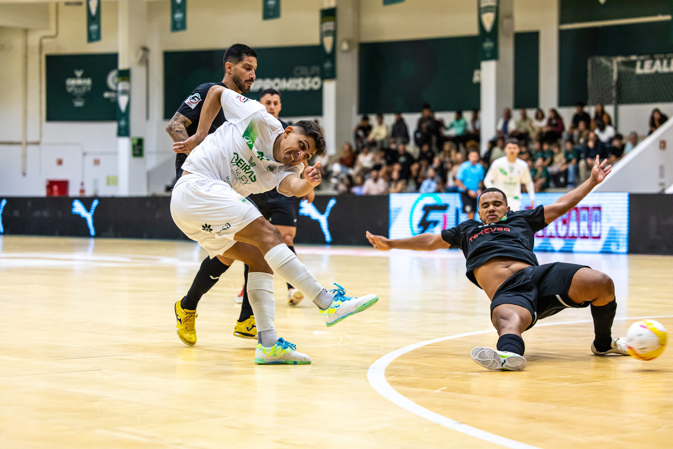 Estúdio. Retratos, eventos e Desporto