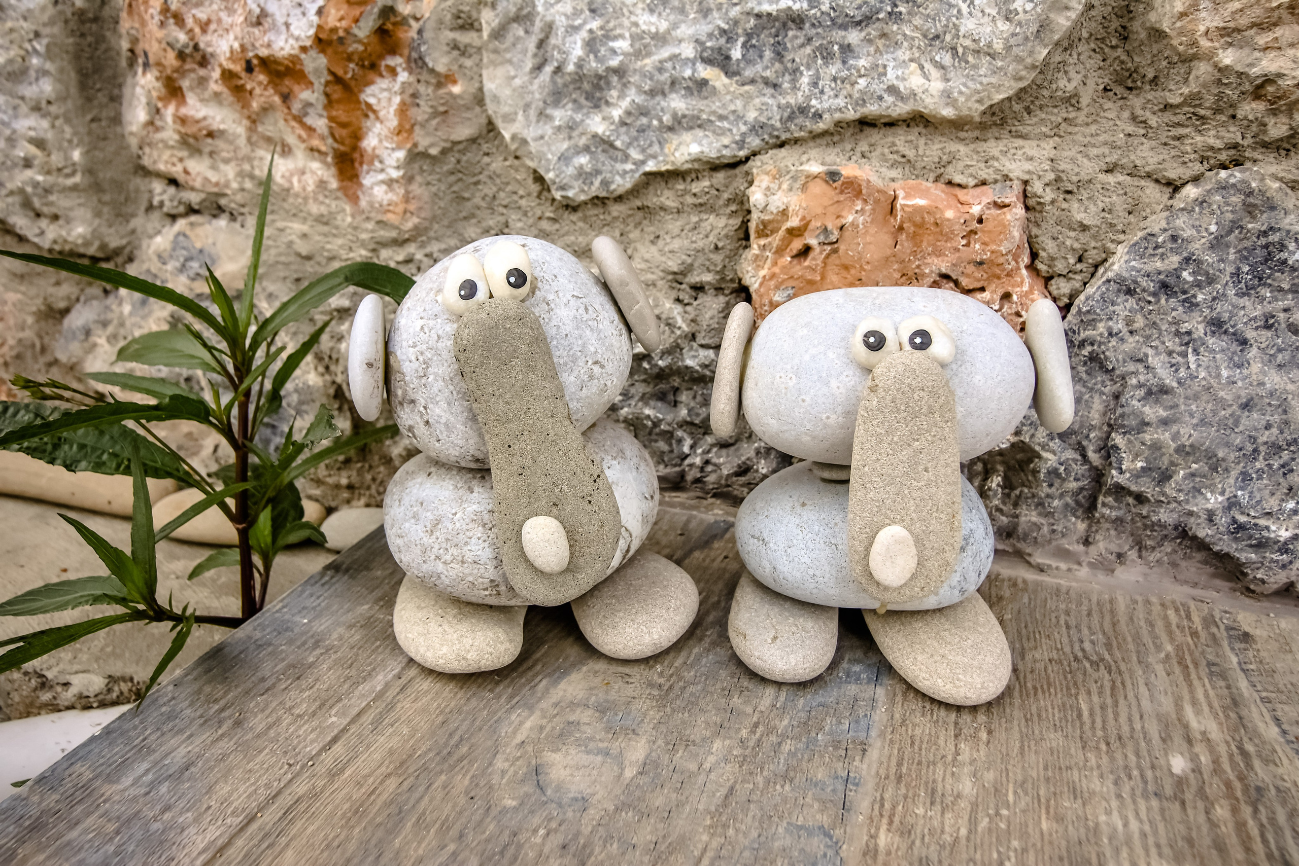 Real Estate photography. Professional portrait photographer in Los Angeles | Axenia Haritonova