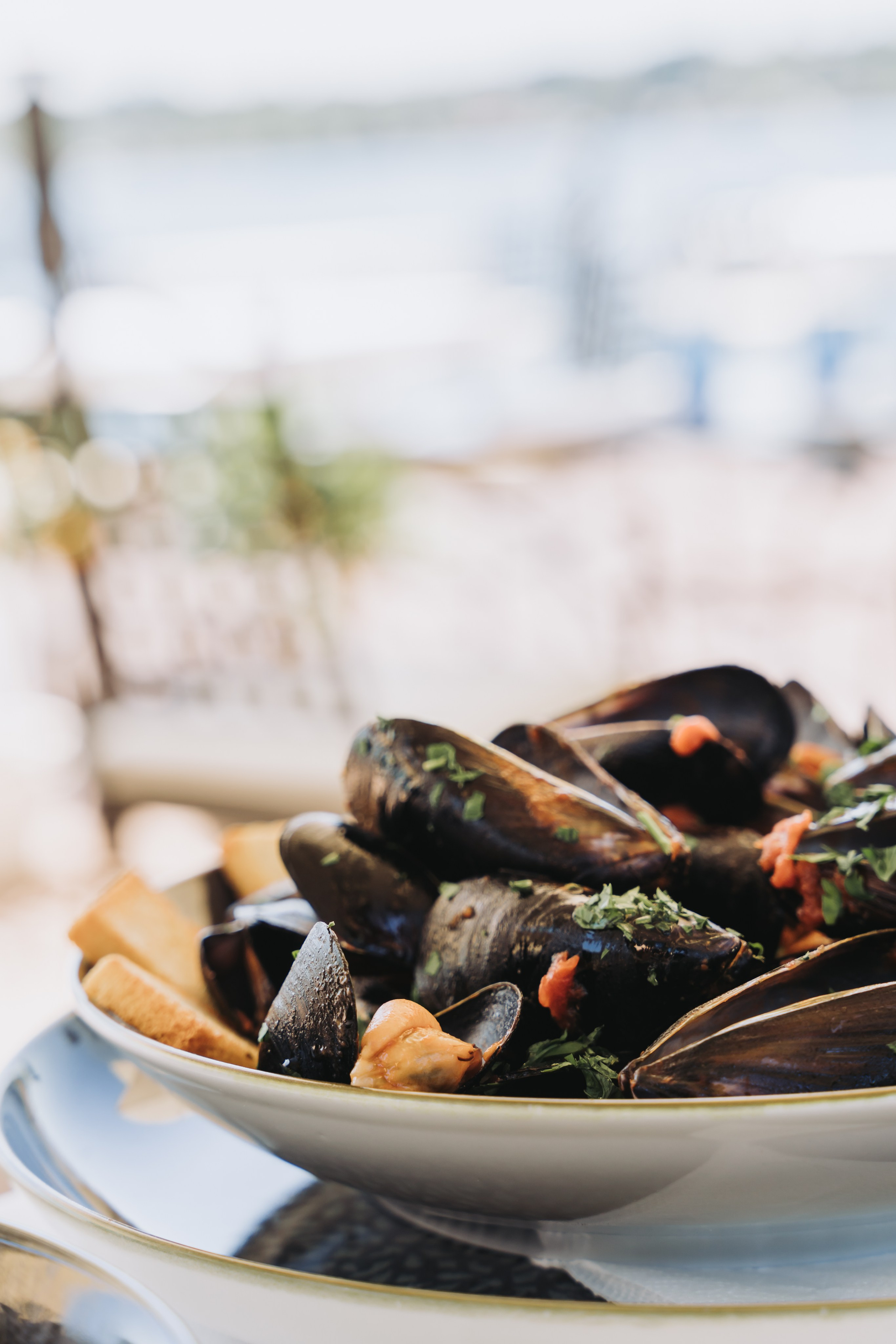 Hotel spiaggia d’oro - Lago di Garda. Fotografia e video