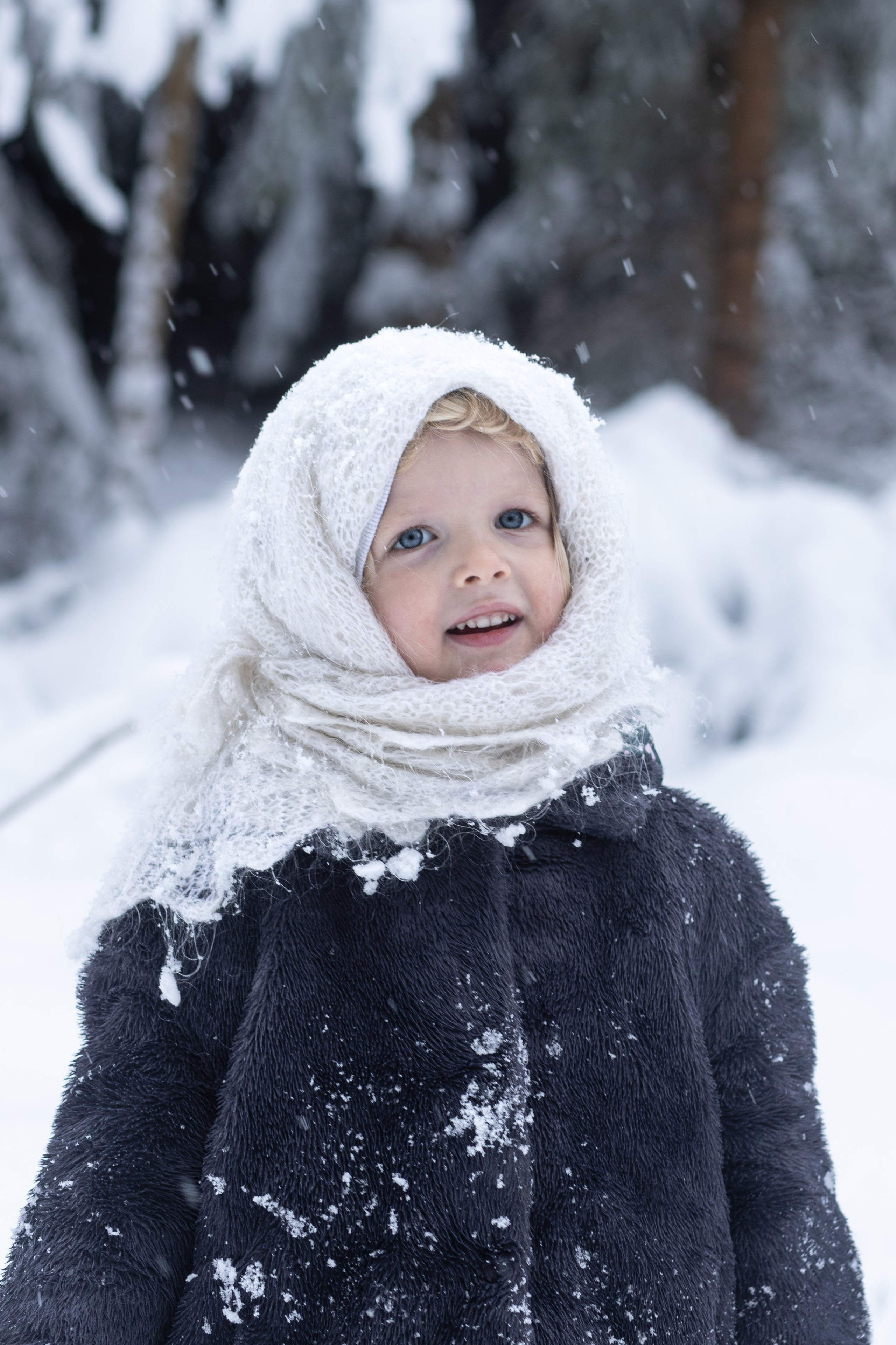 Ein Weihnachtsmärchen. Olena Fritz Fotografie
