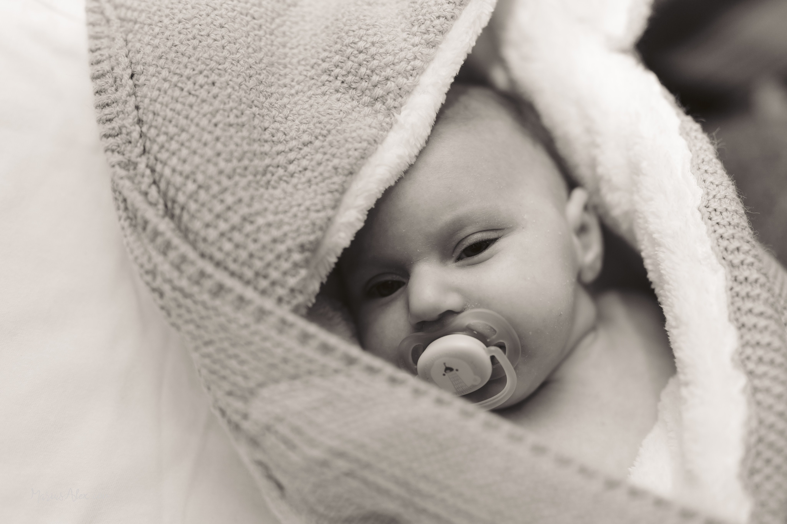 Cataleya Ecaterina. Marius Alex fotograf de eveniment si portret din Suceava