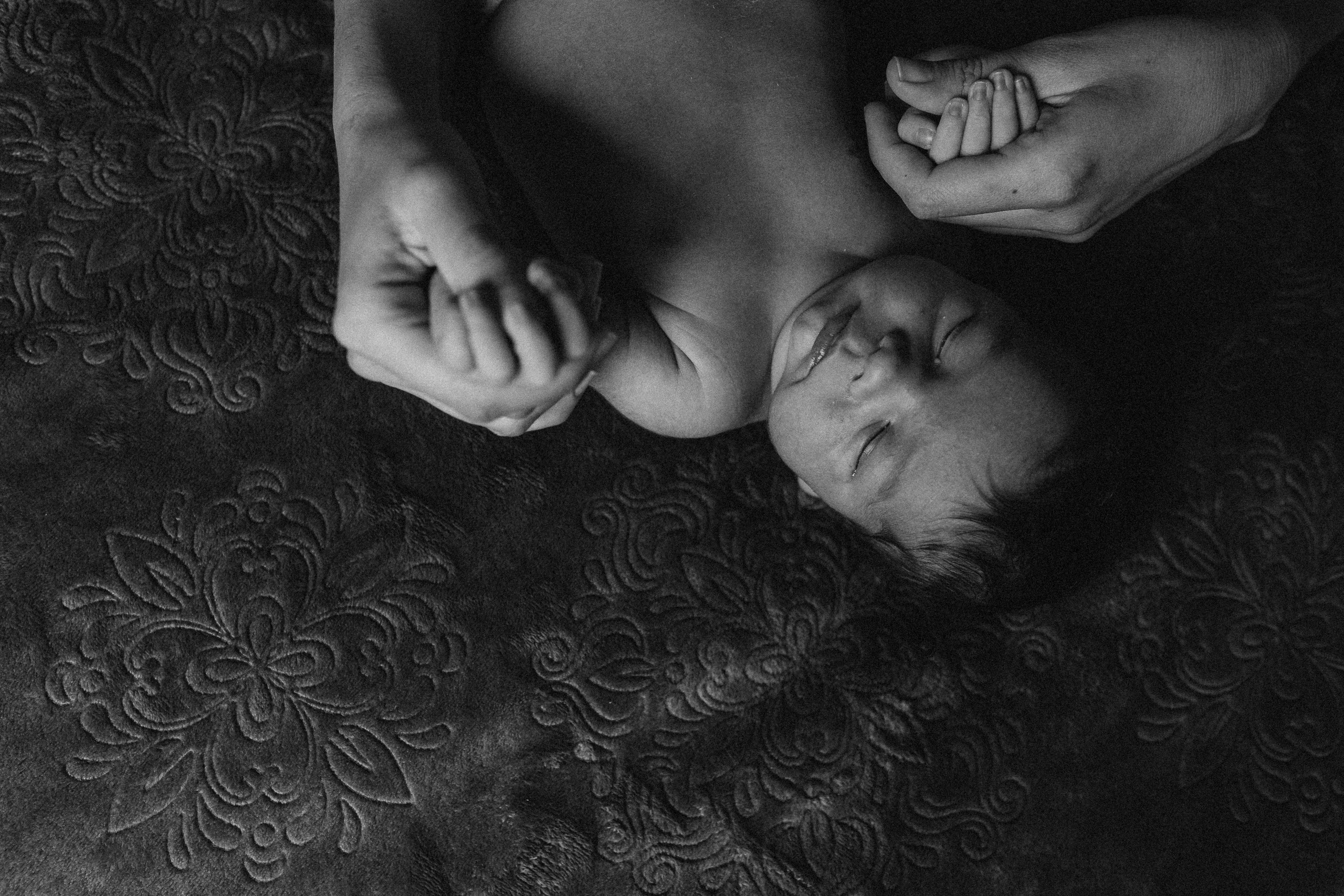 14 dias do Gordei. Fotografa documental de familia e nascimento em Florianópolis SC Daria Ermolaev