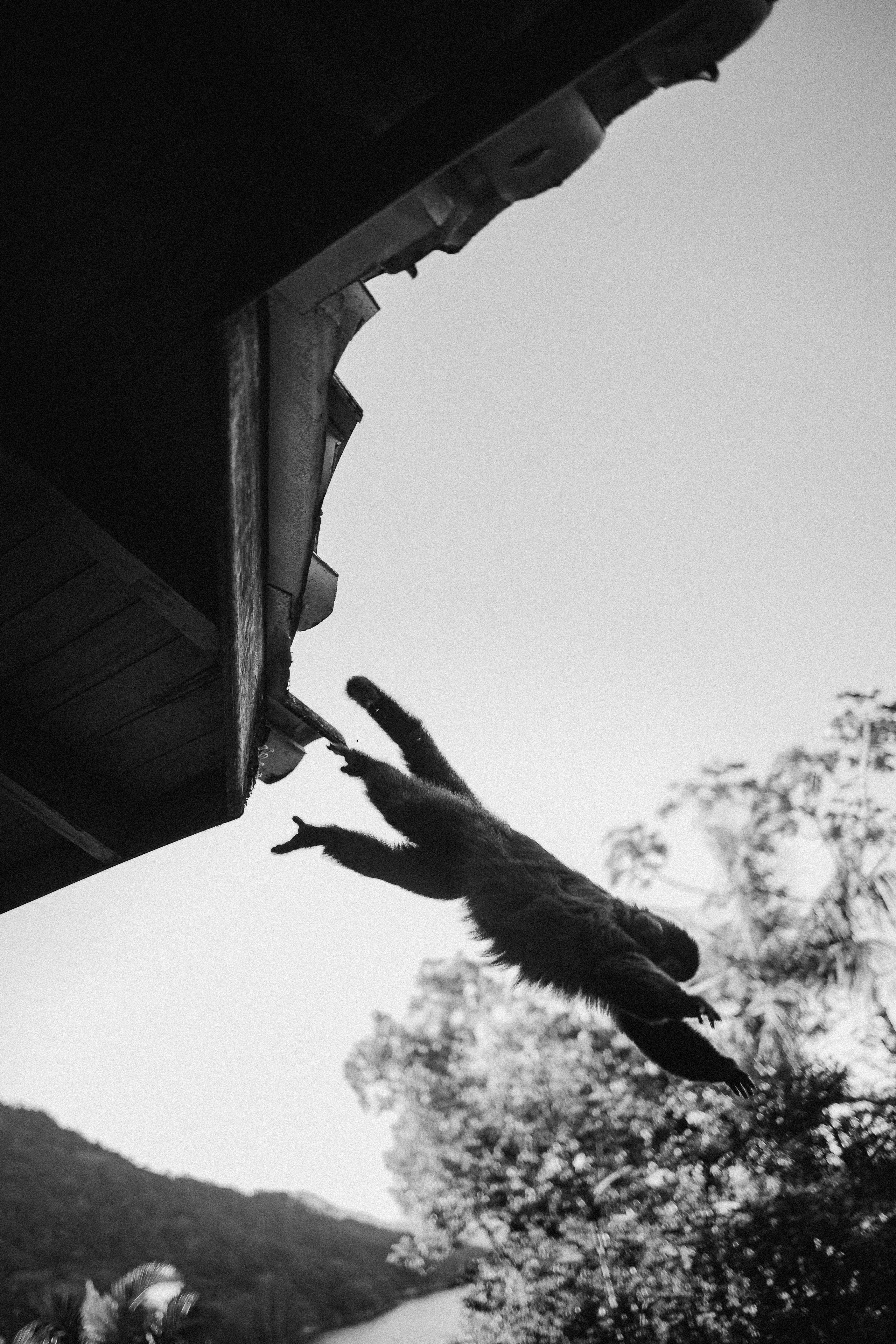 Nastya Dima Gabriela. Fotografa de família e crianças em Florianópolis SC Daria Ermolaev