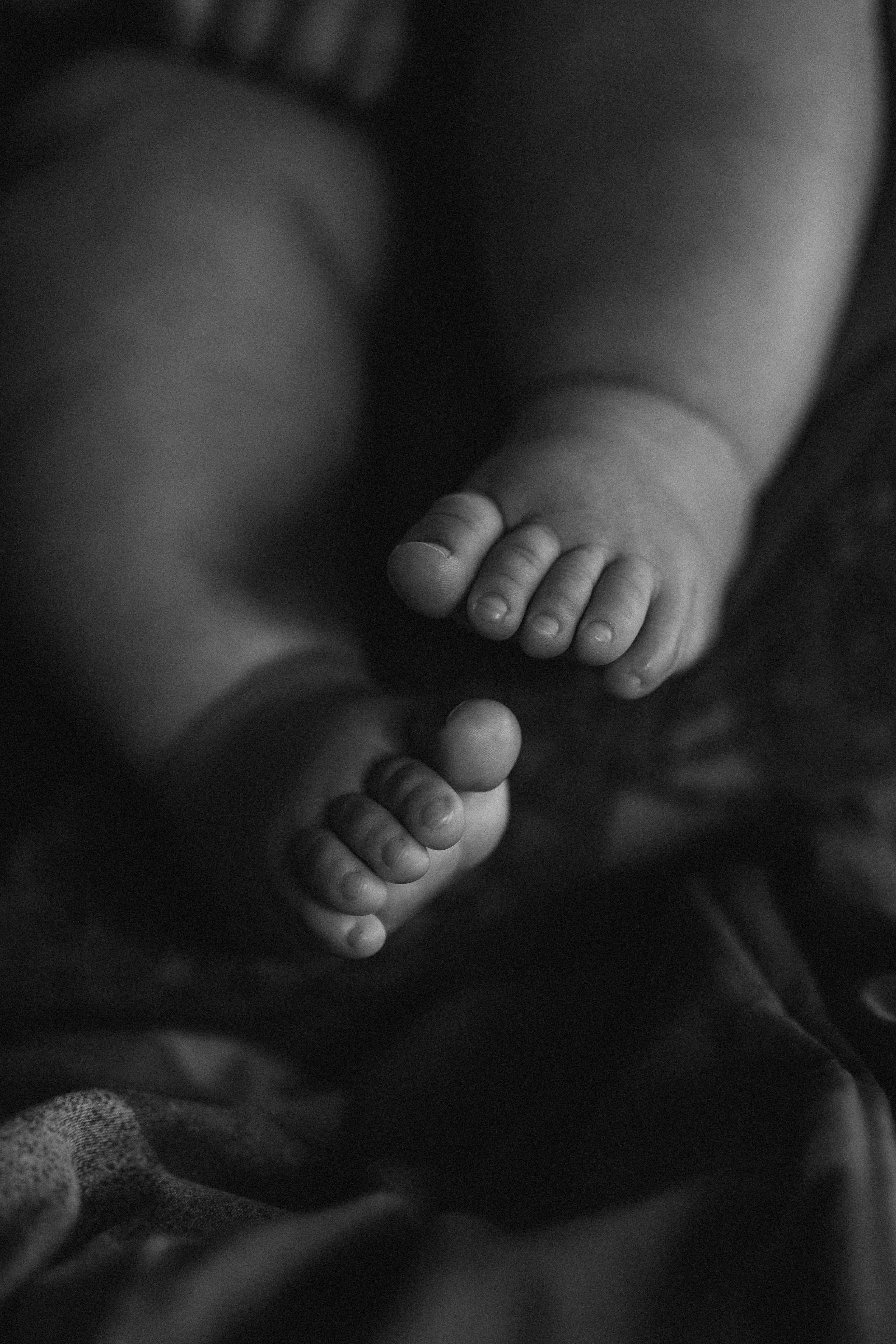 5 Meses do Aruã. Fotografa de família e crianças em Florianópolis SC Daria Ermolaev