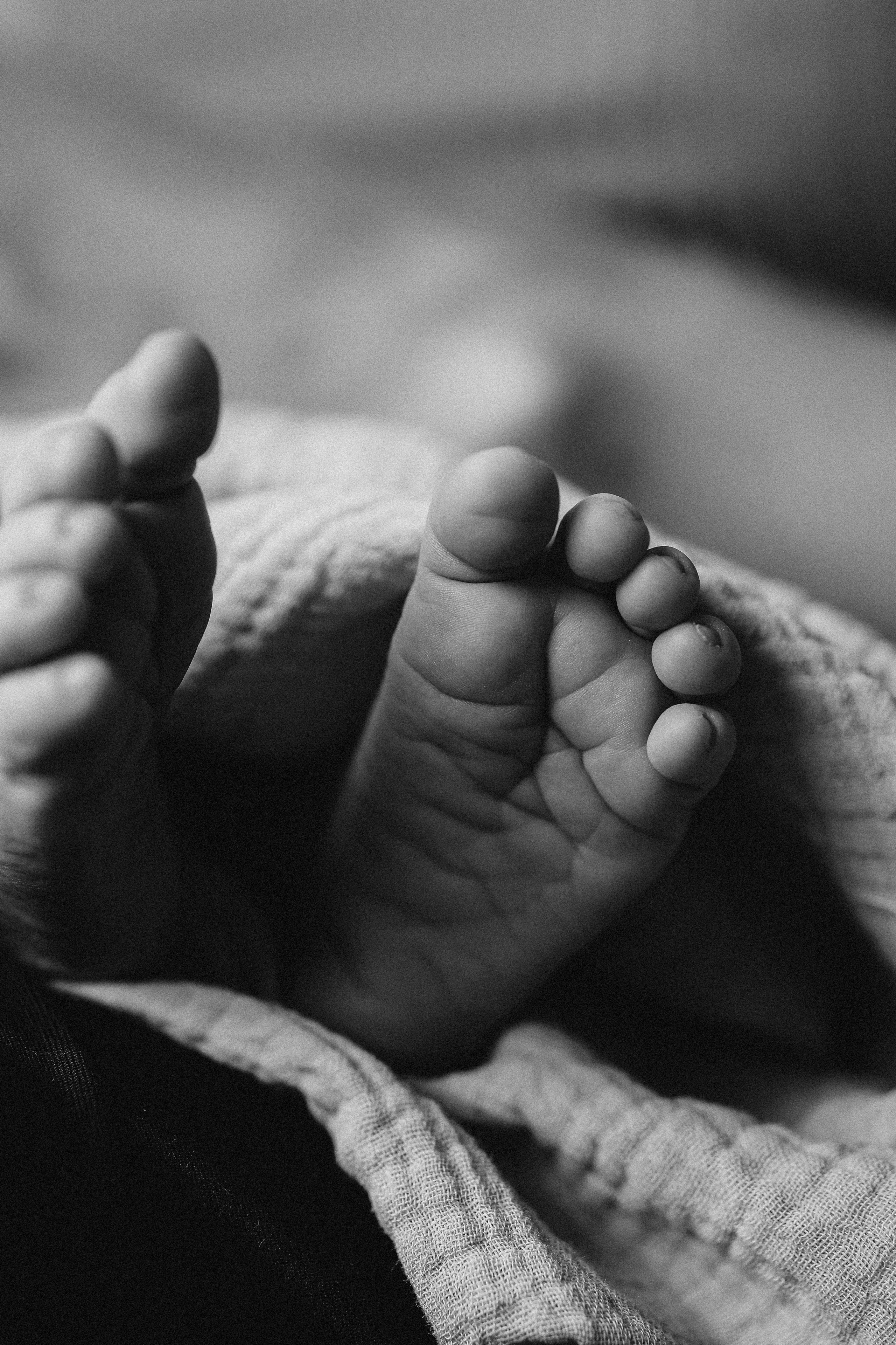 14 dias do Gordei. Fotografa documental de familia e nascimento em Florianópolis SC Daria Ermolaev