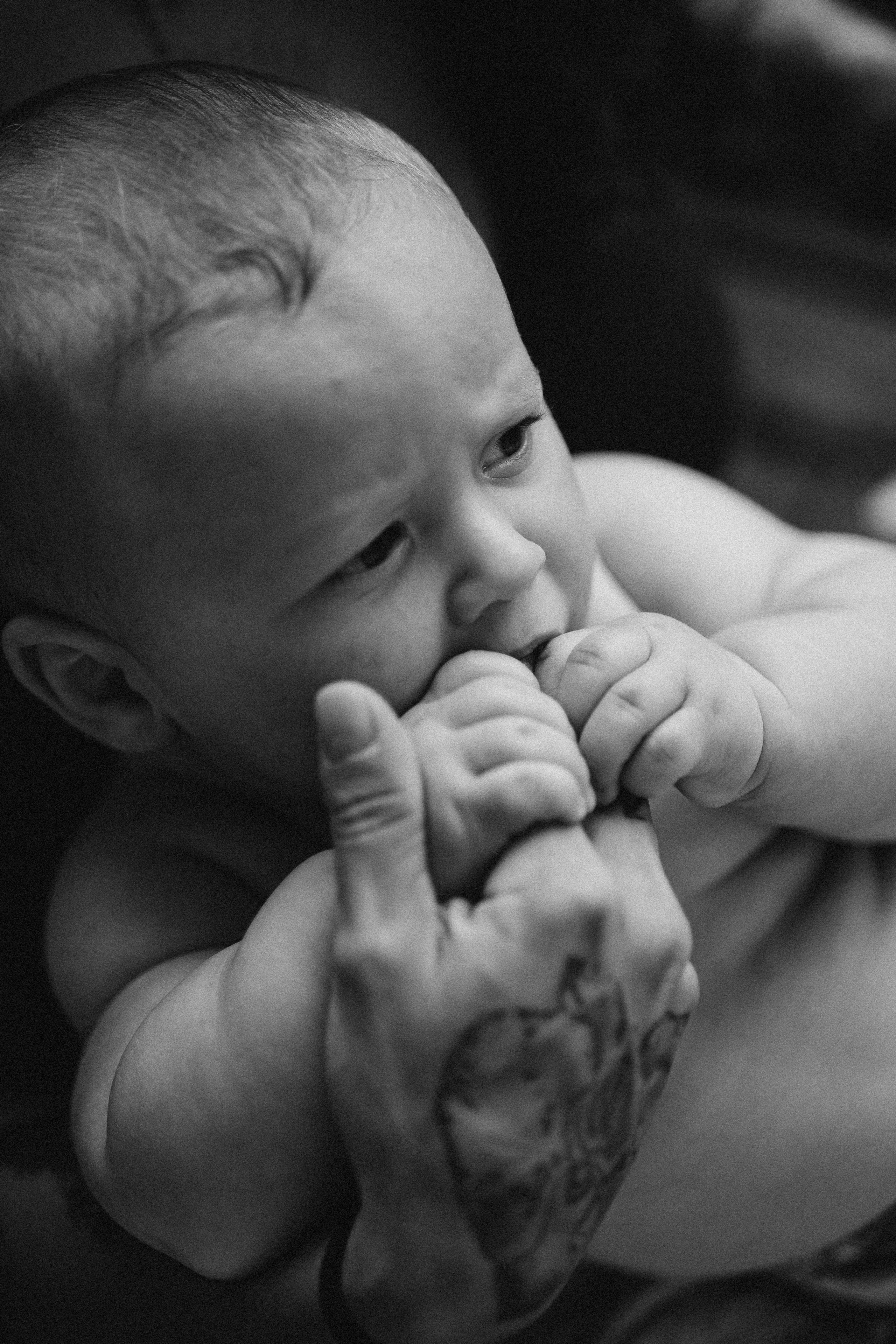 5 Meses do Aruã. Fotografa de família e crianças em Florianópolis SC Daria Ermolaev