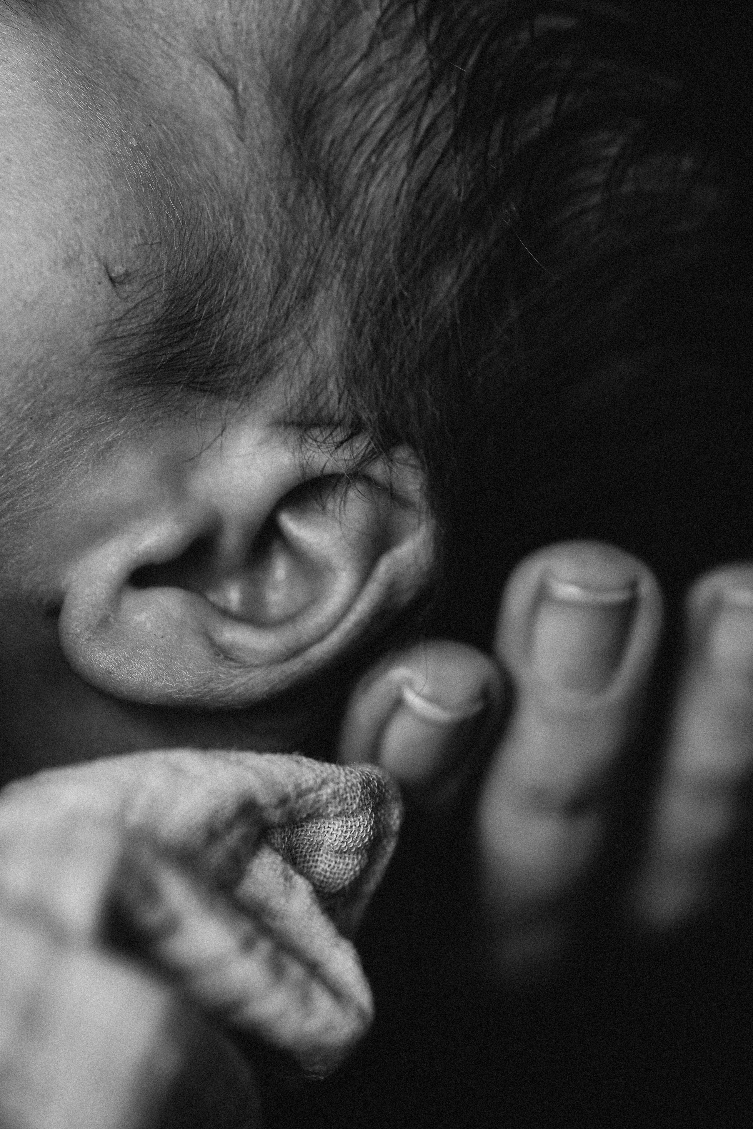 14 dias do Gordei. Fotografa documental de familia e nascimento em Florianópolis SC Daria Ermolaev