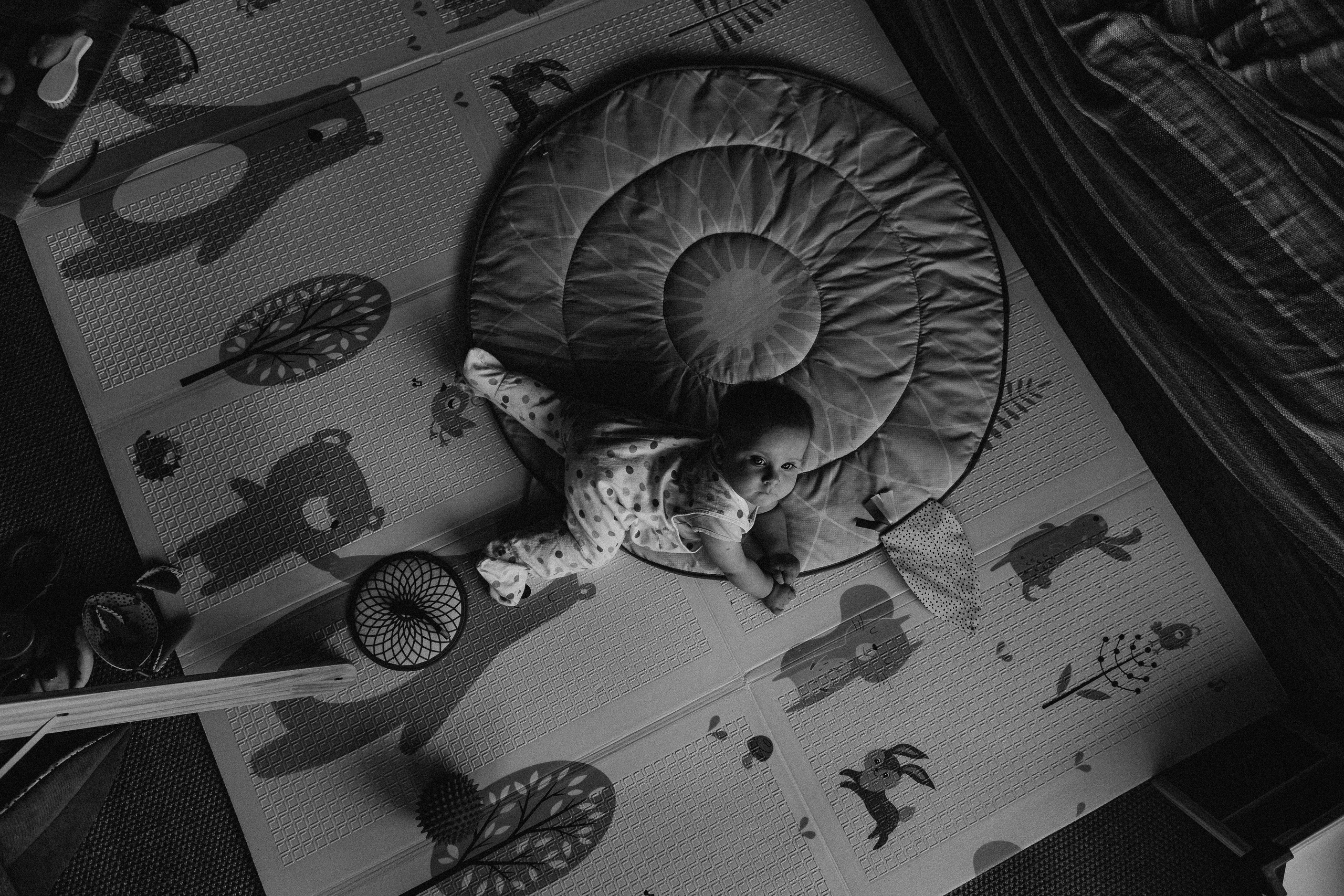 Nastya Dima Gabriela. Fotografa de família e crianças em Florianópolis SC Daria Ermolaev