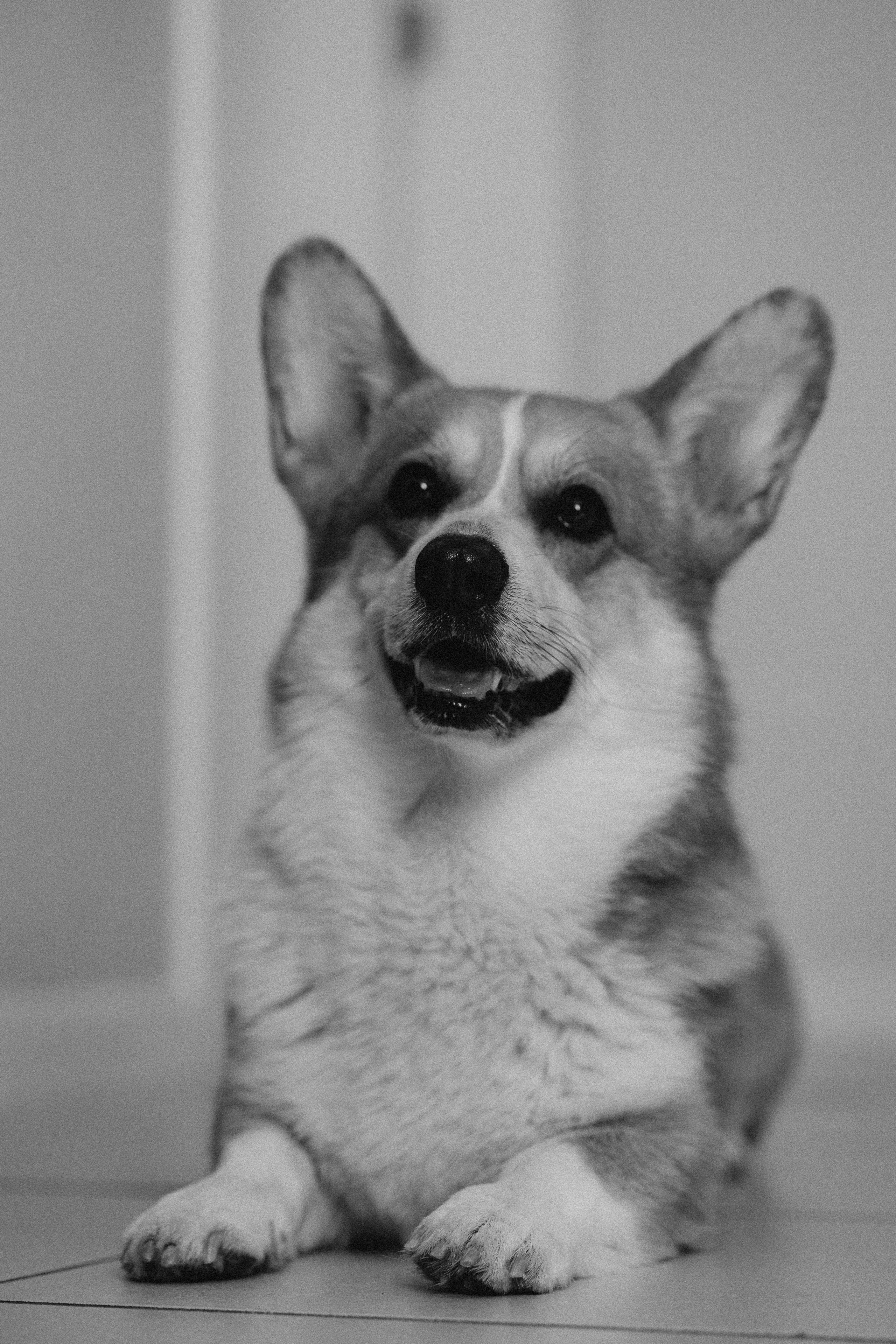 Manezinho Tom. Fotografa de família e crianças em Florianópolis SC Daria Ermolaev