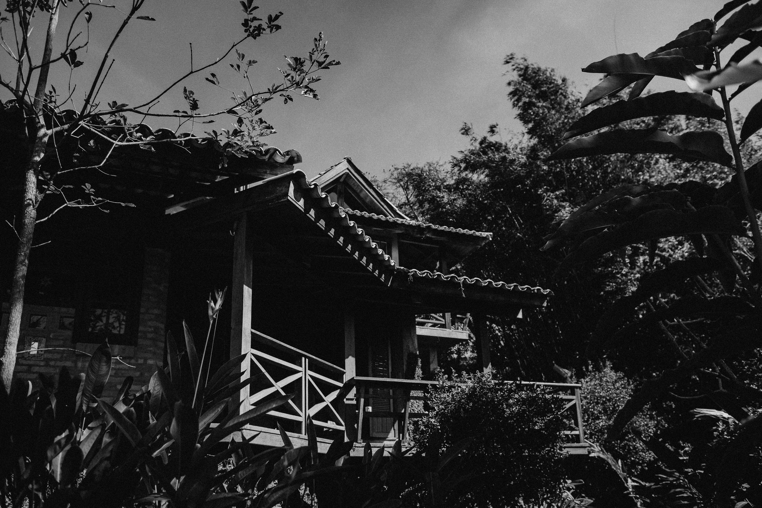 Nastya Dima Gabriela. Fotografa de família e crianças em Florianópolis SC Daria Ermolaev