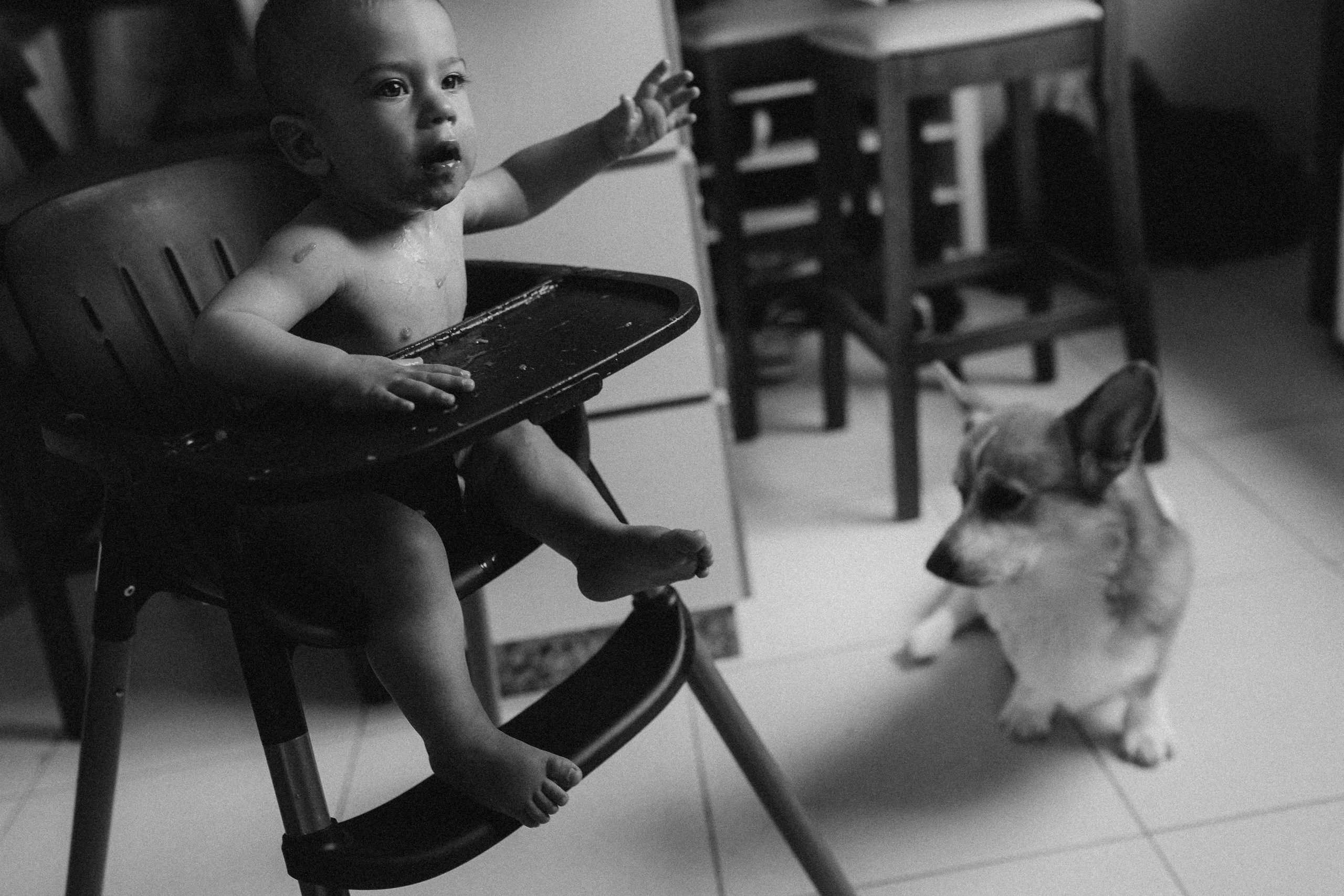Manezinho Tom. Fotografa de família e crianças em Florianópolis SC Daria Ermolaev