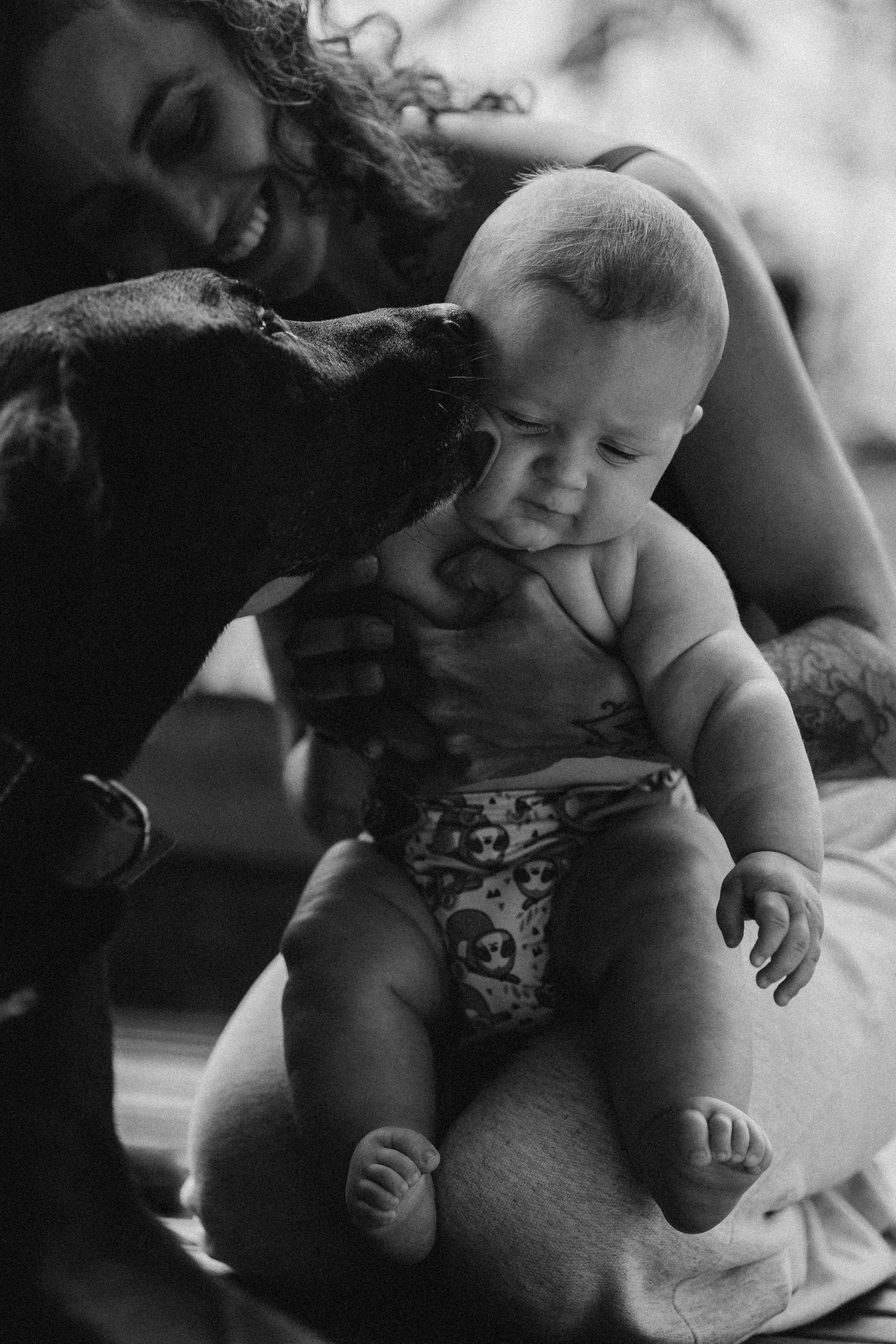 5 Meses do Aruã. Fotografa de família e crianças em Florianópolis SC Daria Ermolaev