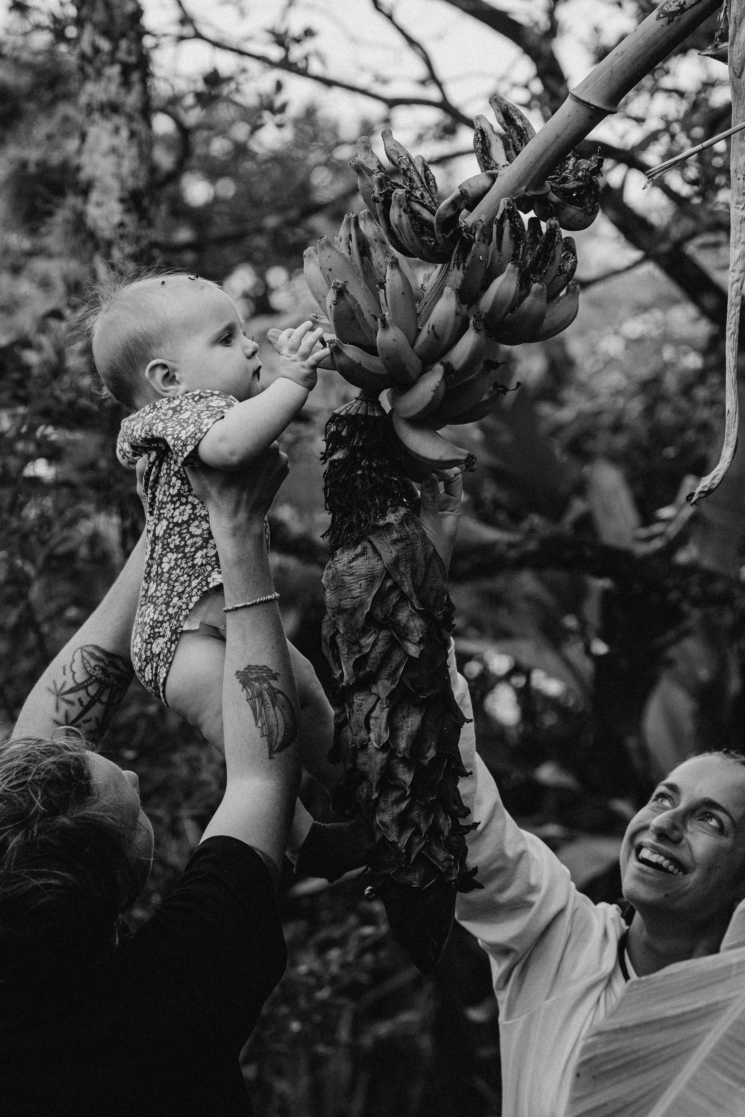 Nastya Dima Gabriela. Fotografa de família e crianças em Florianópolis SC Daria Ermolaev