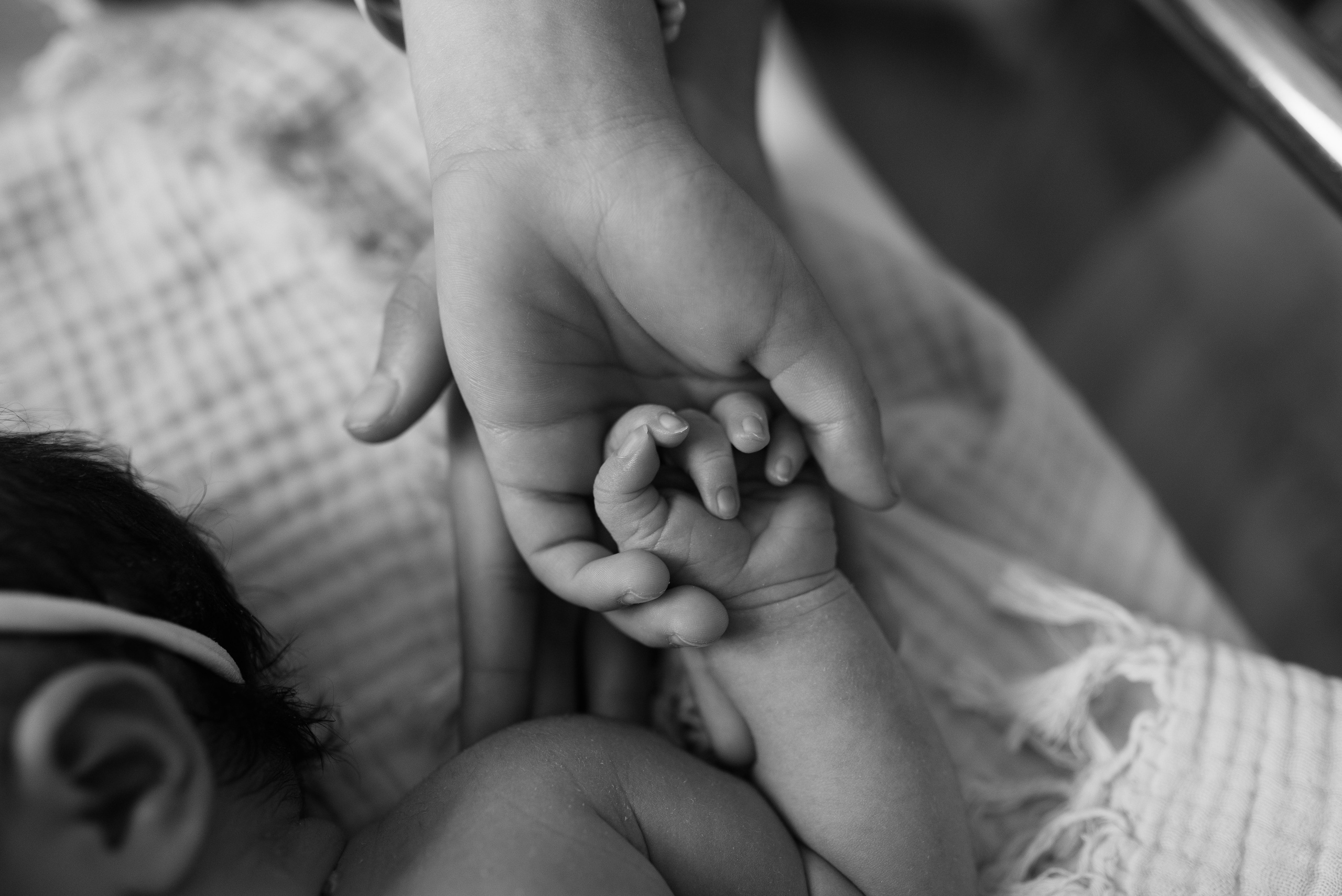 Fresh 48. Https://newbornphoto.wfolio.pro/me