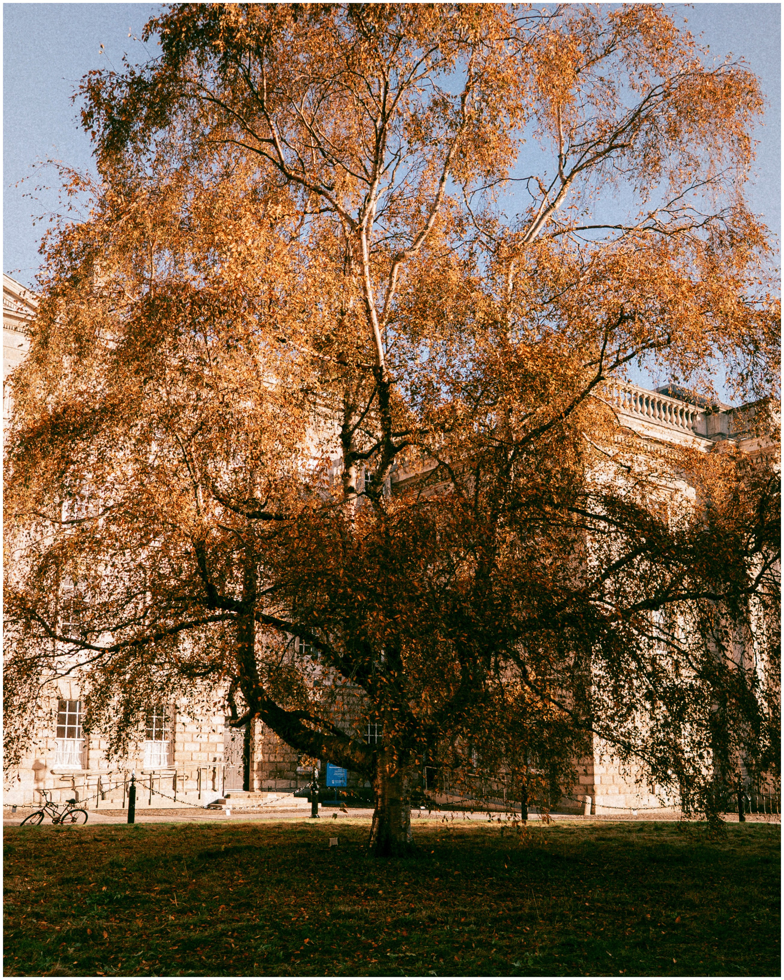 IRELAND. Inna Mendelson — Photographer