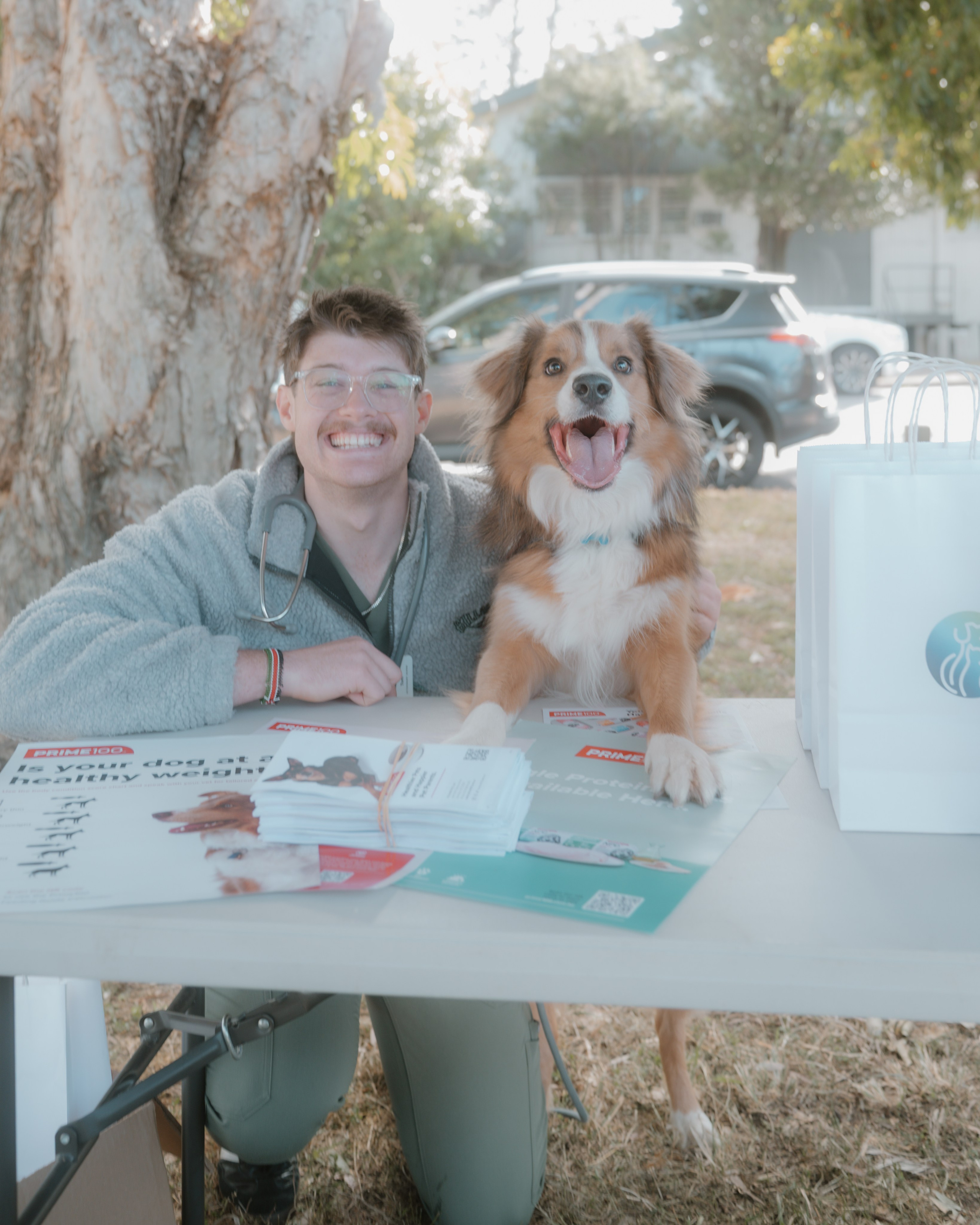 Windsor Dog Park Grand Opening 🐾📸 A few furry faces from the grand opening of Windsor Dog Park! 🐶❤️. JS Photoshoot | Family, Events & Pet Photographer in Brisbane