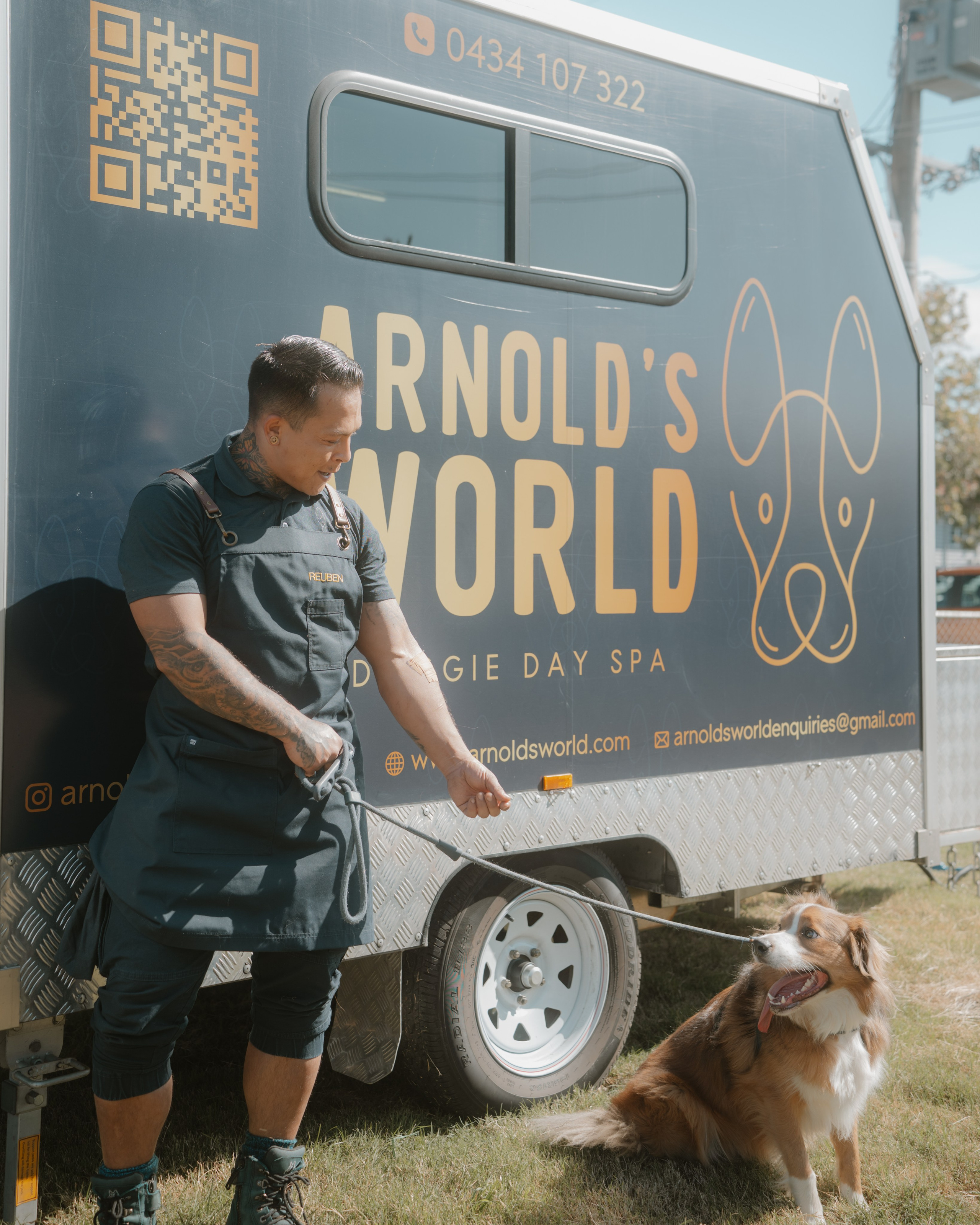 Windsor Dog Park Grand Opening 🐾📸 A few furry faces from the grand opening of Windsor Dog Park! 🐶❤️. JS Photoshoot | Family, Events & Pet Photographer in Brisbane