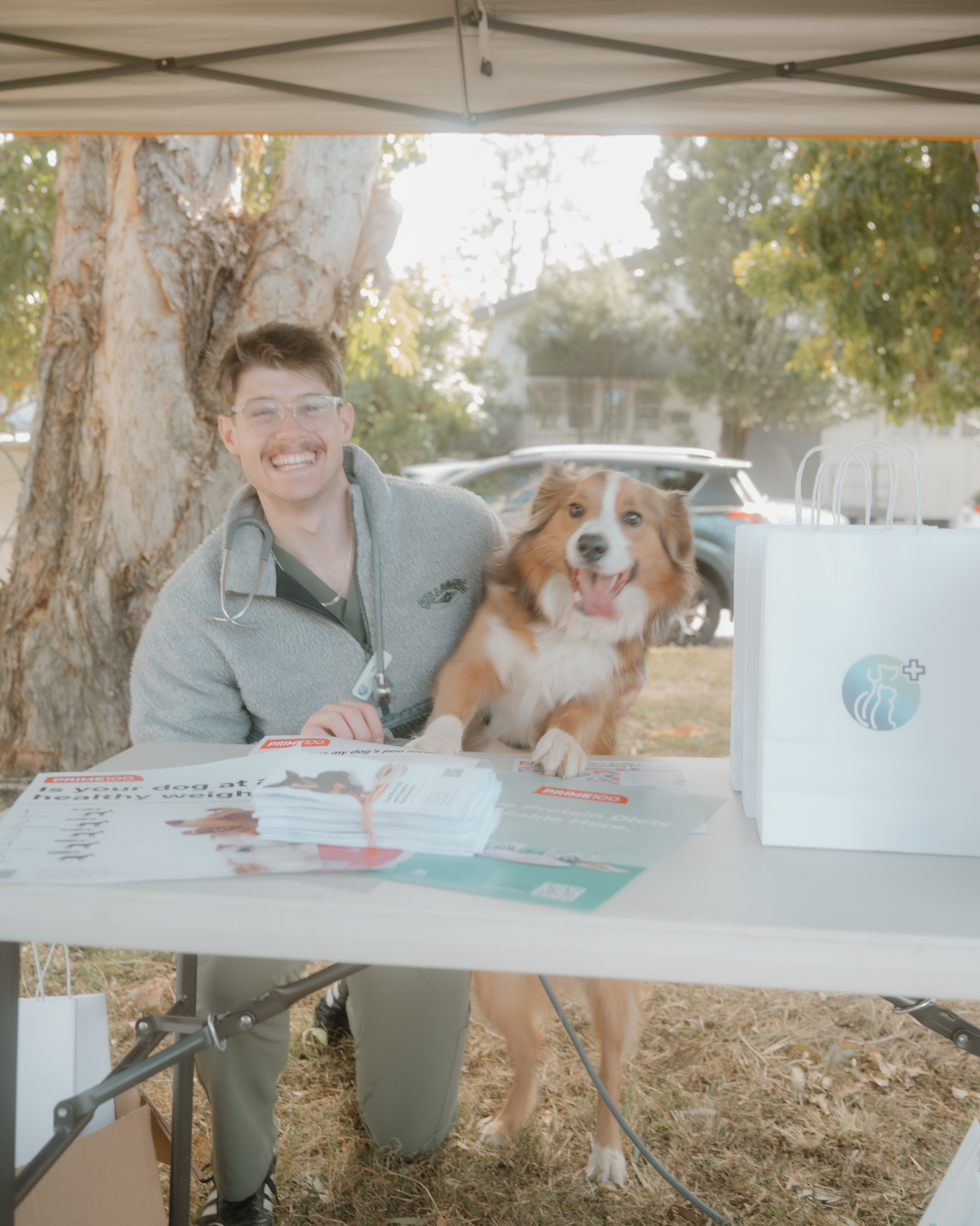 Windsor Dog Park Grand Opening 🐾📸 A few furry faces from the grand opening of Windsor Dog Park! 🐶❤️. JS Photoshoot | Family, Events & Pet Photographer in Brisbane
