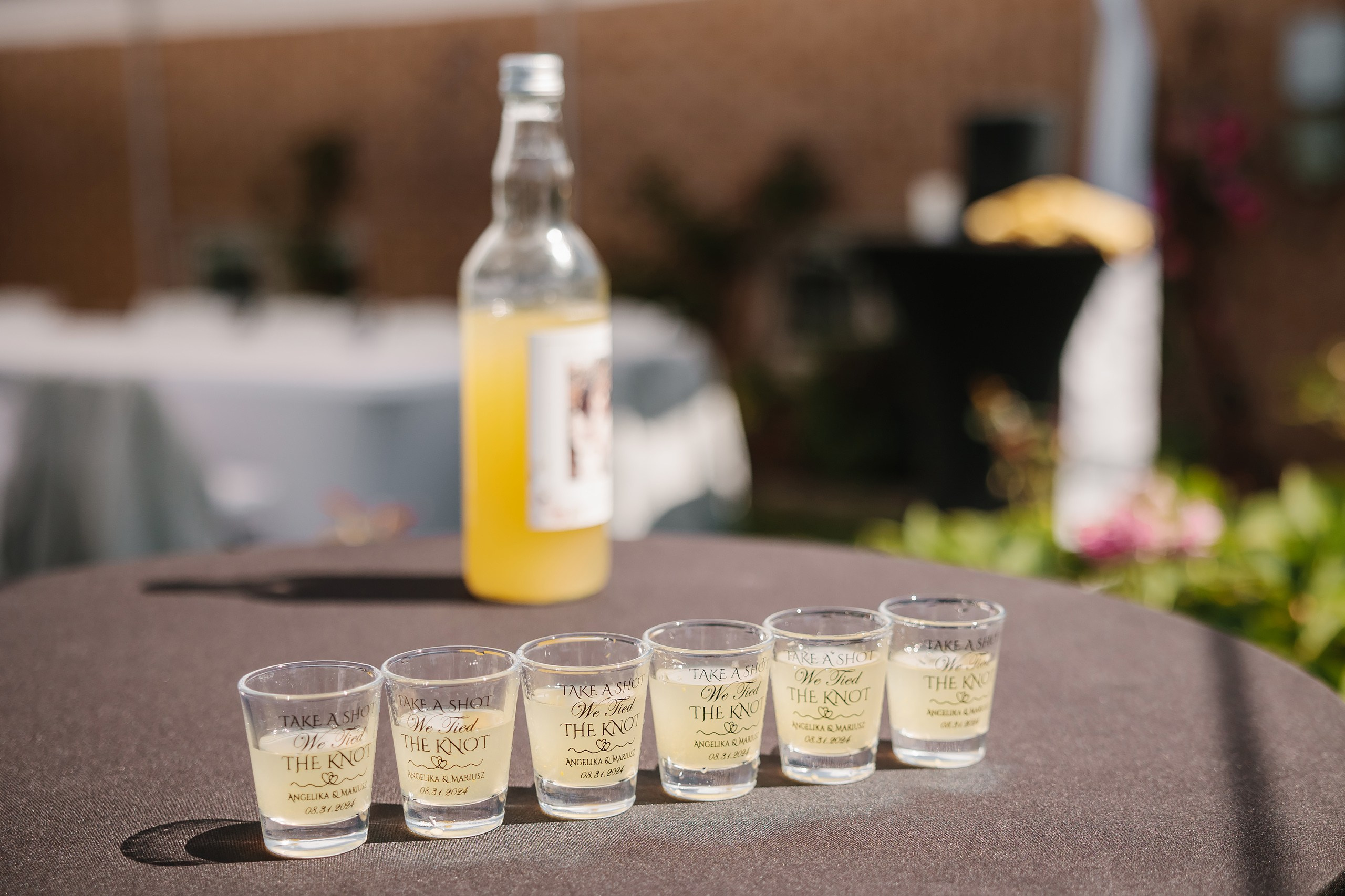 31.08.2024 Wedding. Wedding family event photographer in Chicago Nick Yushevich