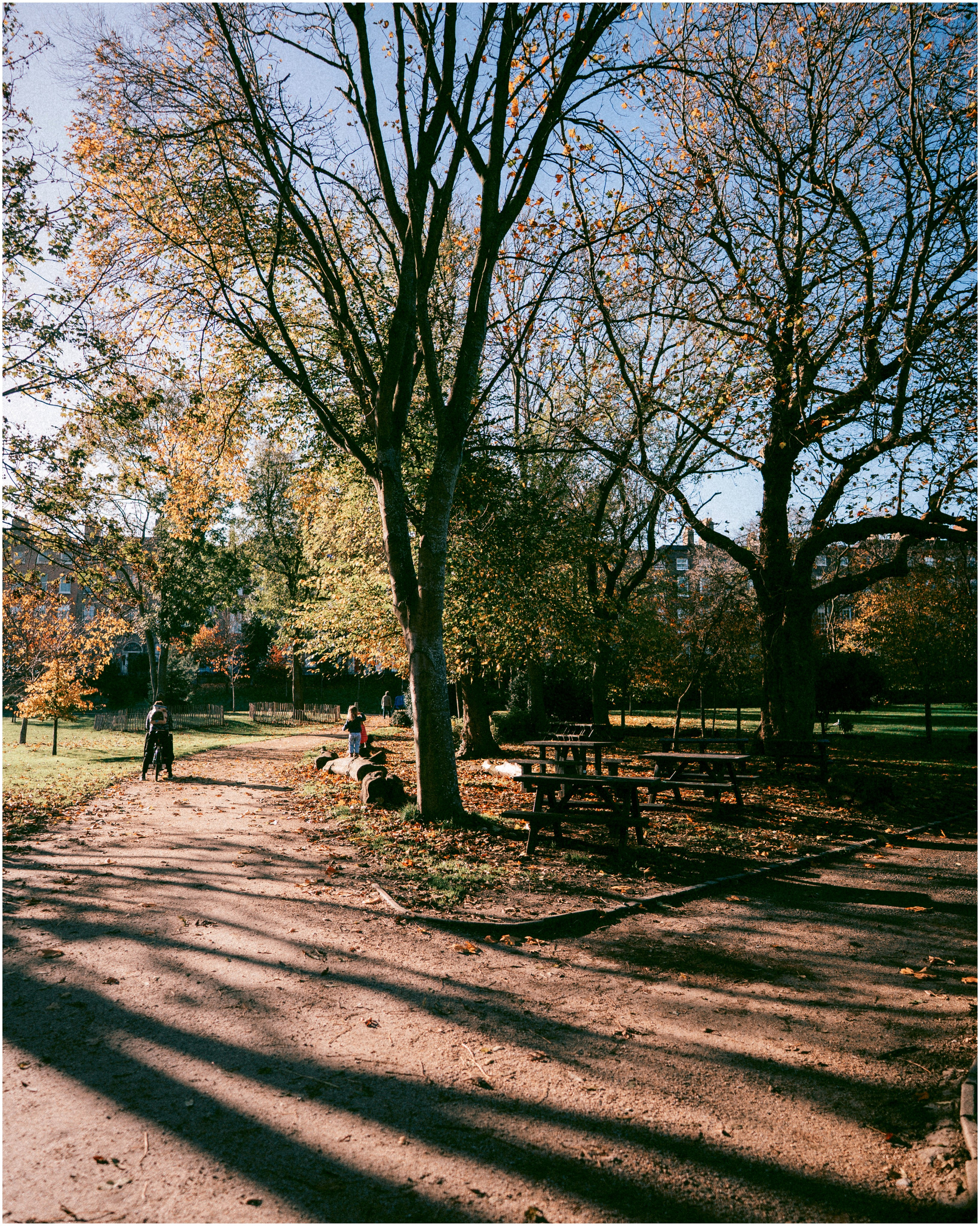 IRELAND. Inna Mendelson — Photographer