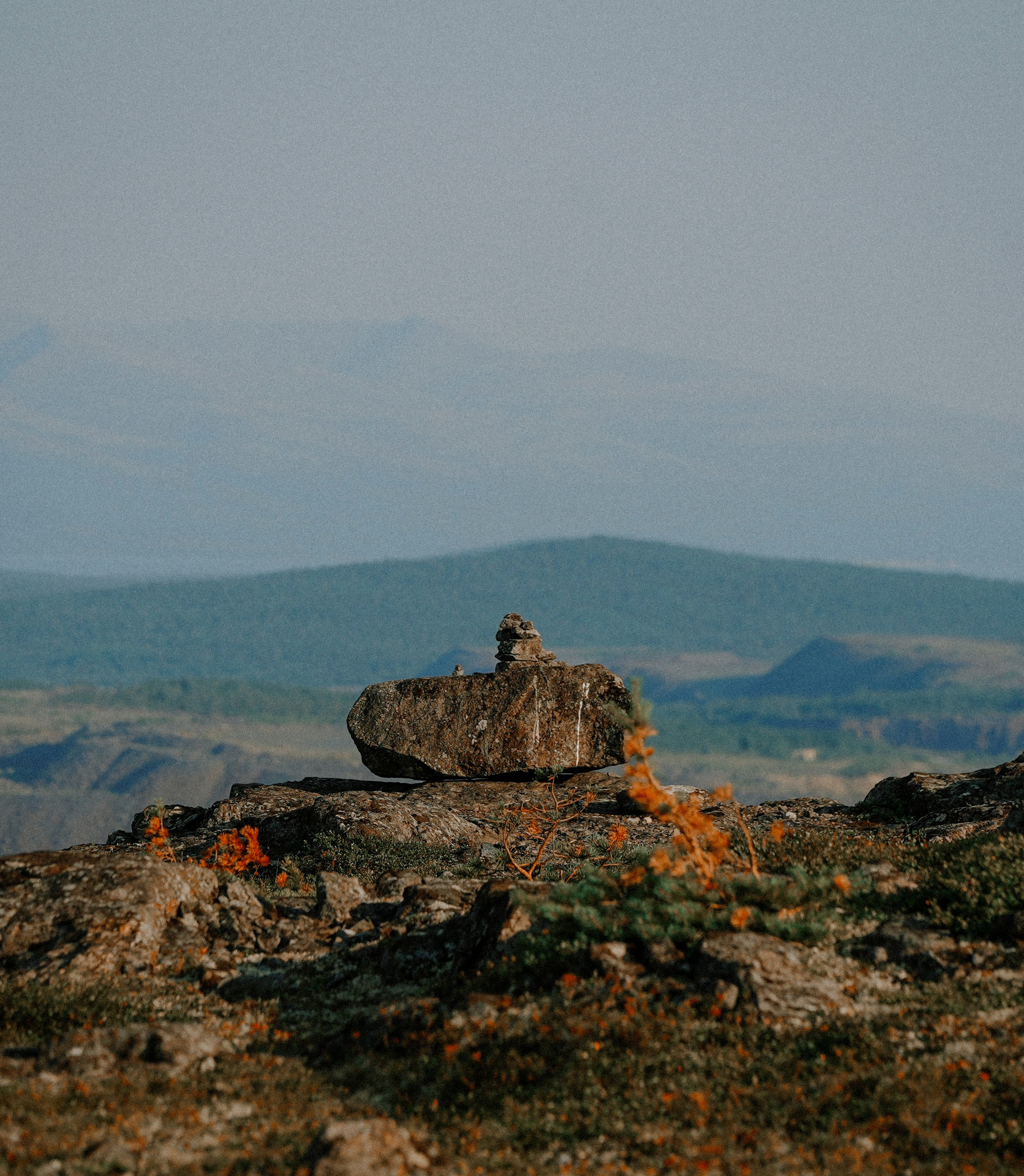 2025. Стрит-фотография, полная абсурда, идиотизма и красоты