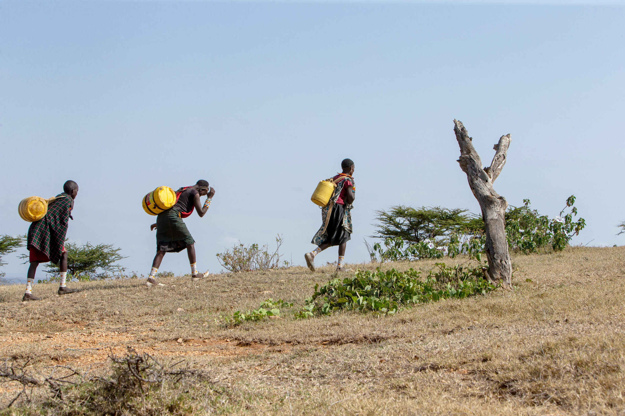 Three Samburu women trek back to their homes, each woman carrying a 20-litre jerrycan on her back. Documentary photography