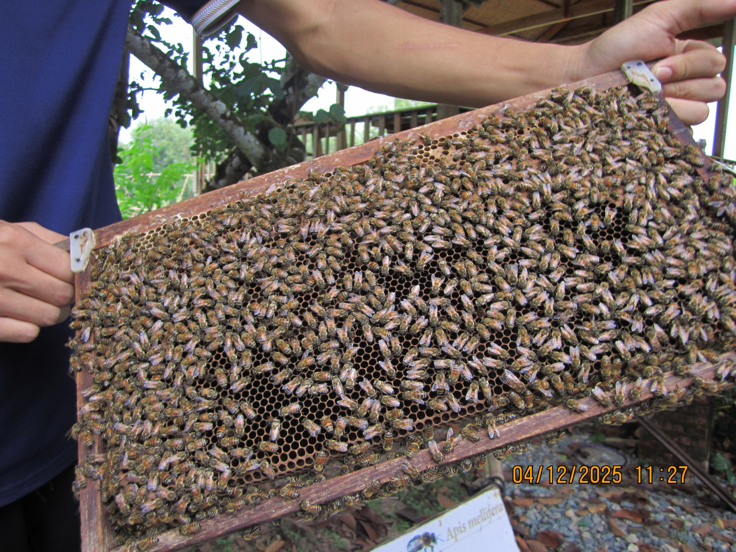 Kümnes päev. LondoSpeed Photography