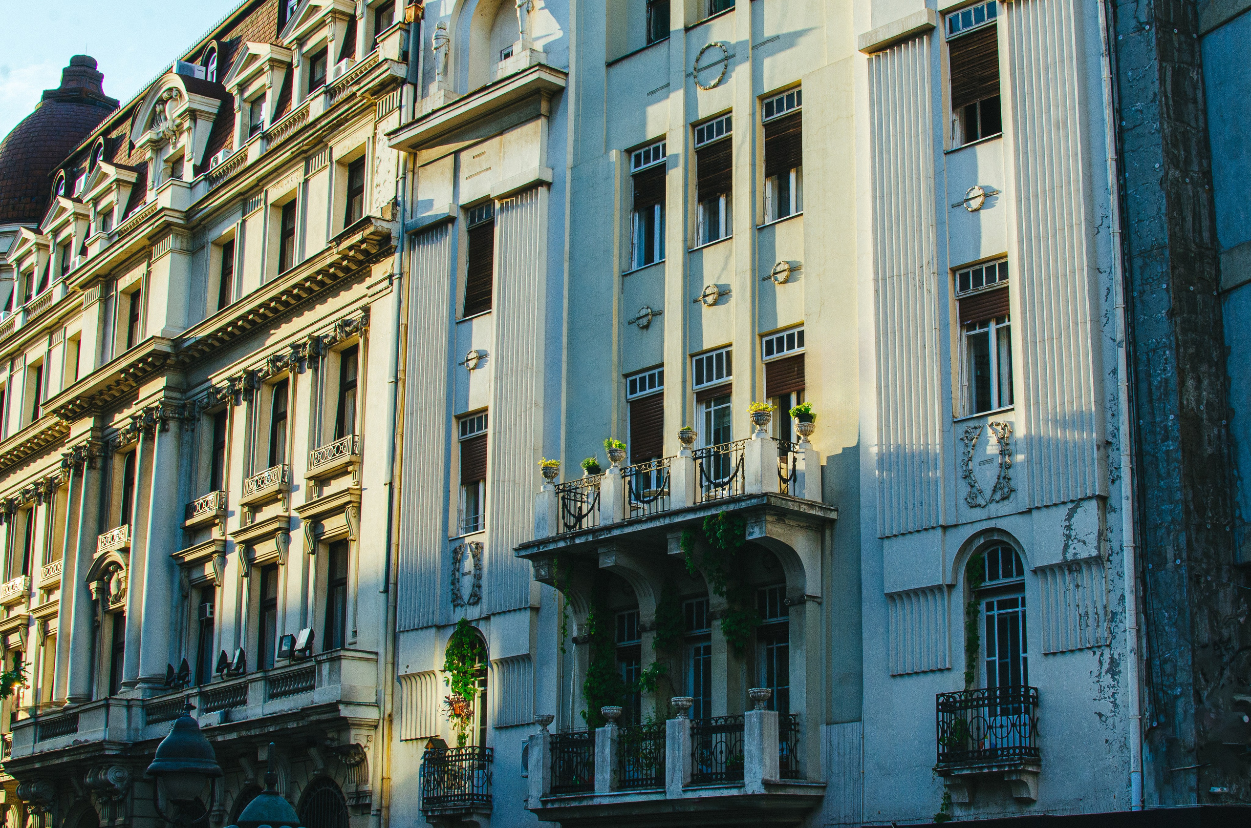 Services. Event photographer Alena Iurchenko