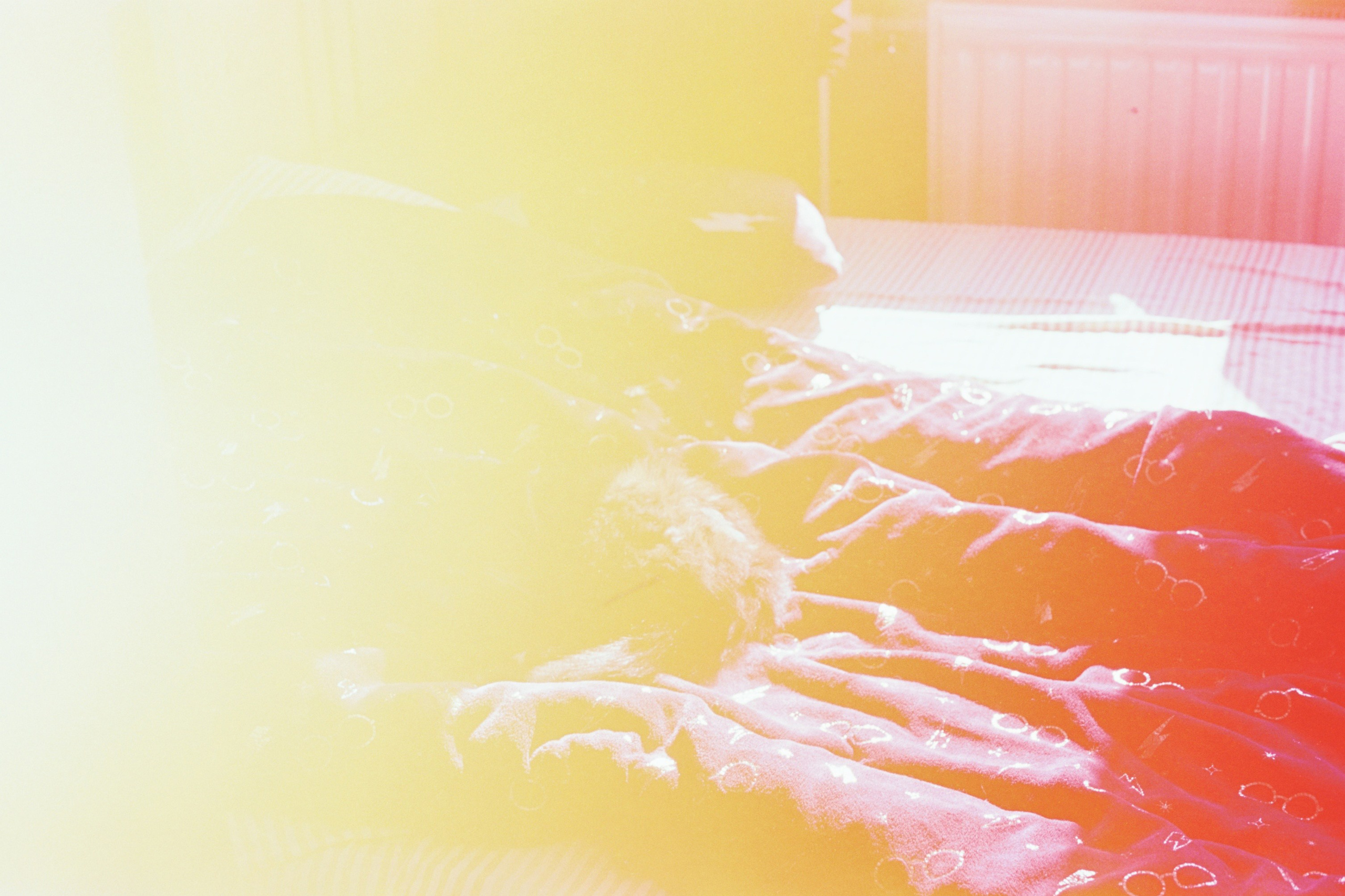 Saint-Petersburg (2020-2023)_2. Elena Zykova film photographer in London