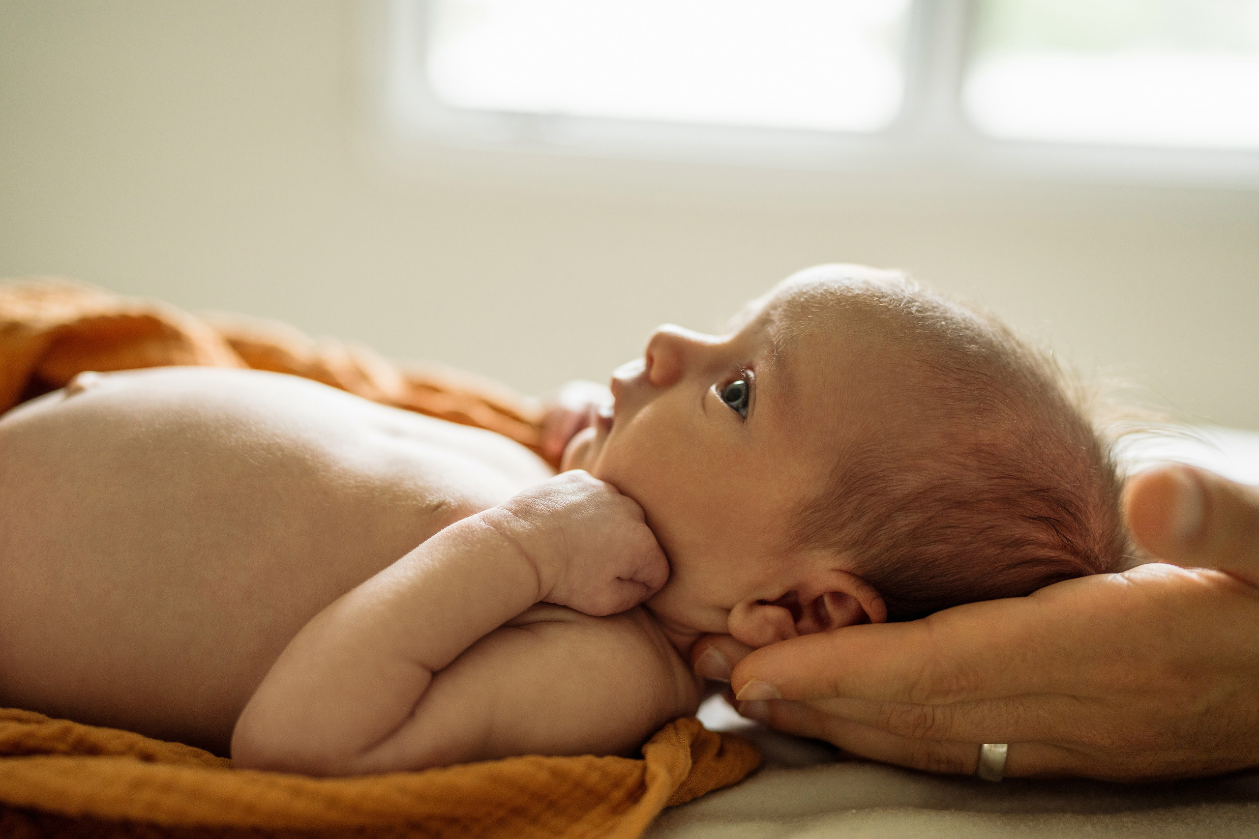 Minimalist Newborn Photography – Timeless & Elegant. Alisa Tant — Family and newborn photographer Bucks County, Montgomery county, Philadelphia, NJ