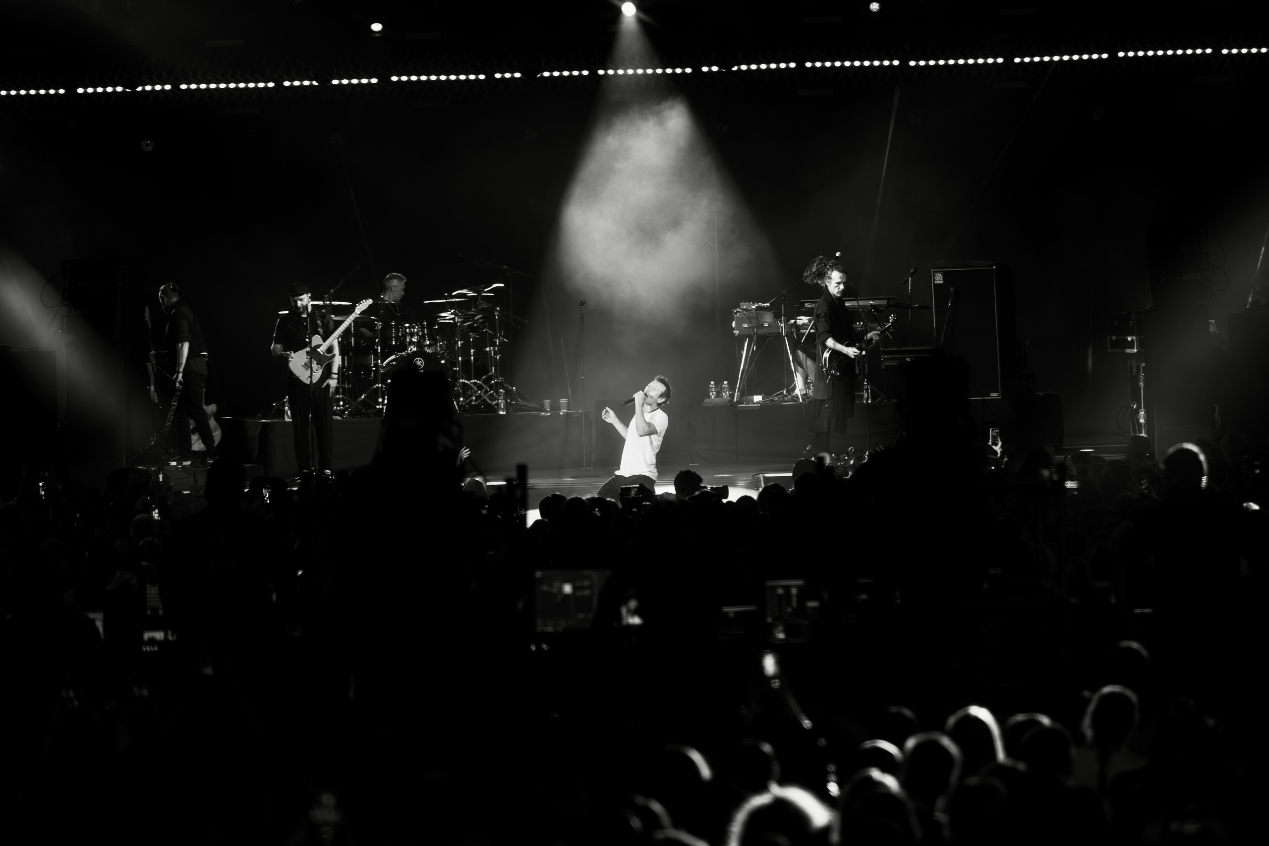 Океан Ельзи. Репортажний фотограф/анімаліст КИЇВ