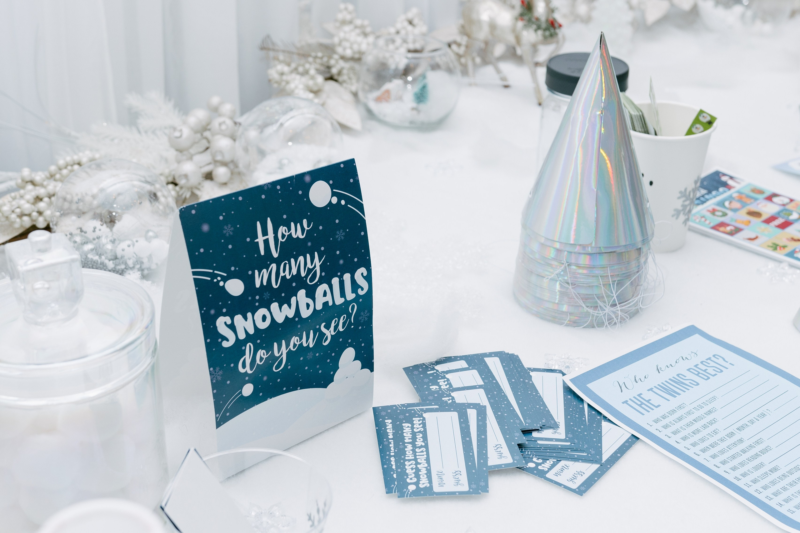 Twins Birthday. Sara Eulalia | Virginia Photographer