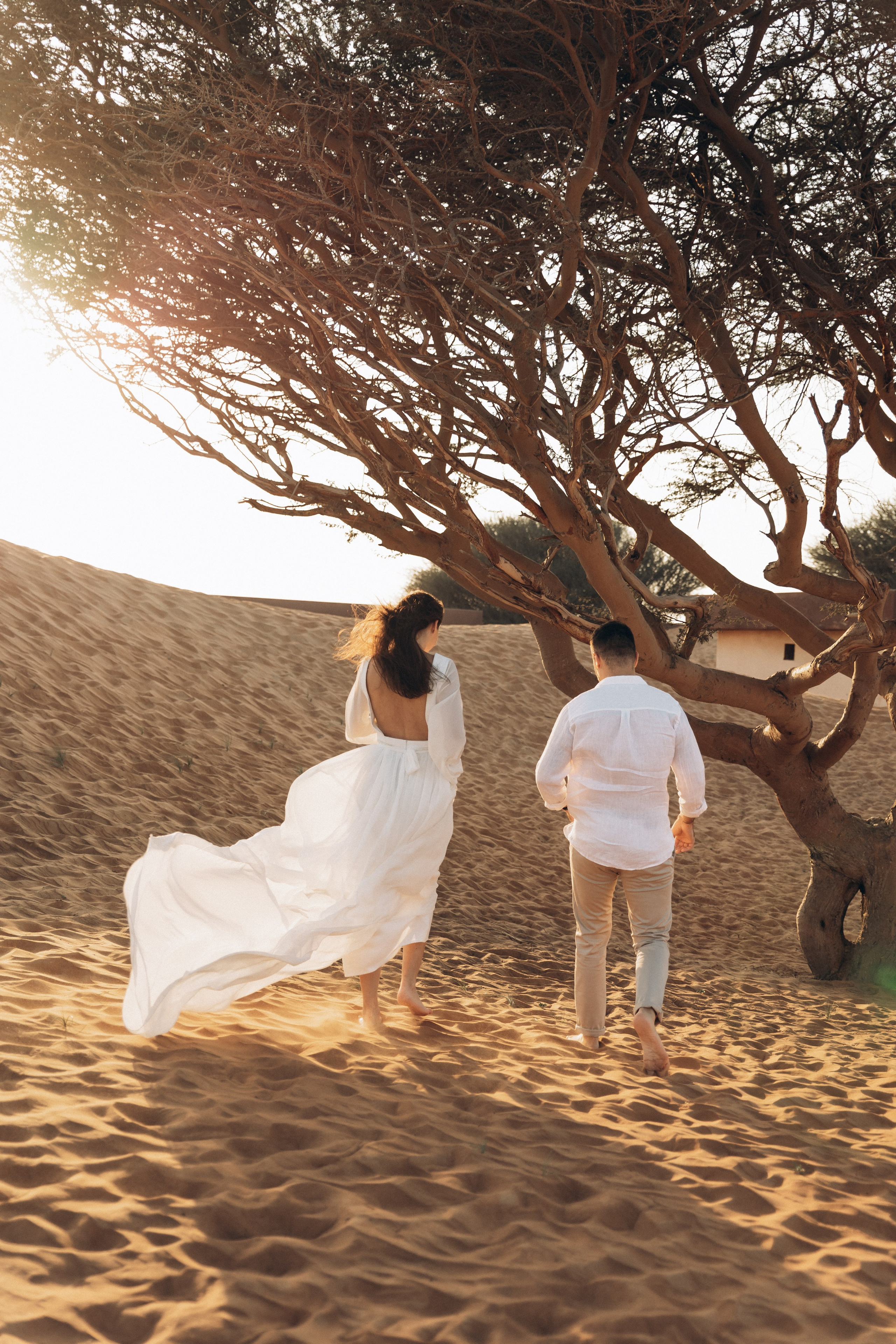 Desert elopement