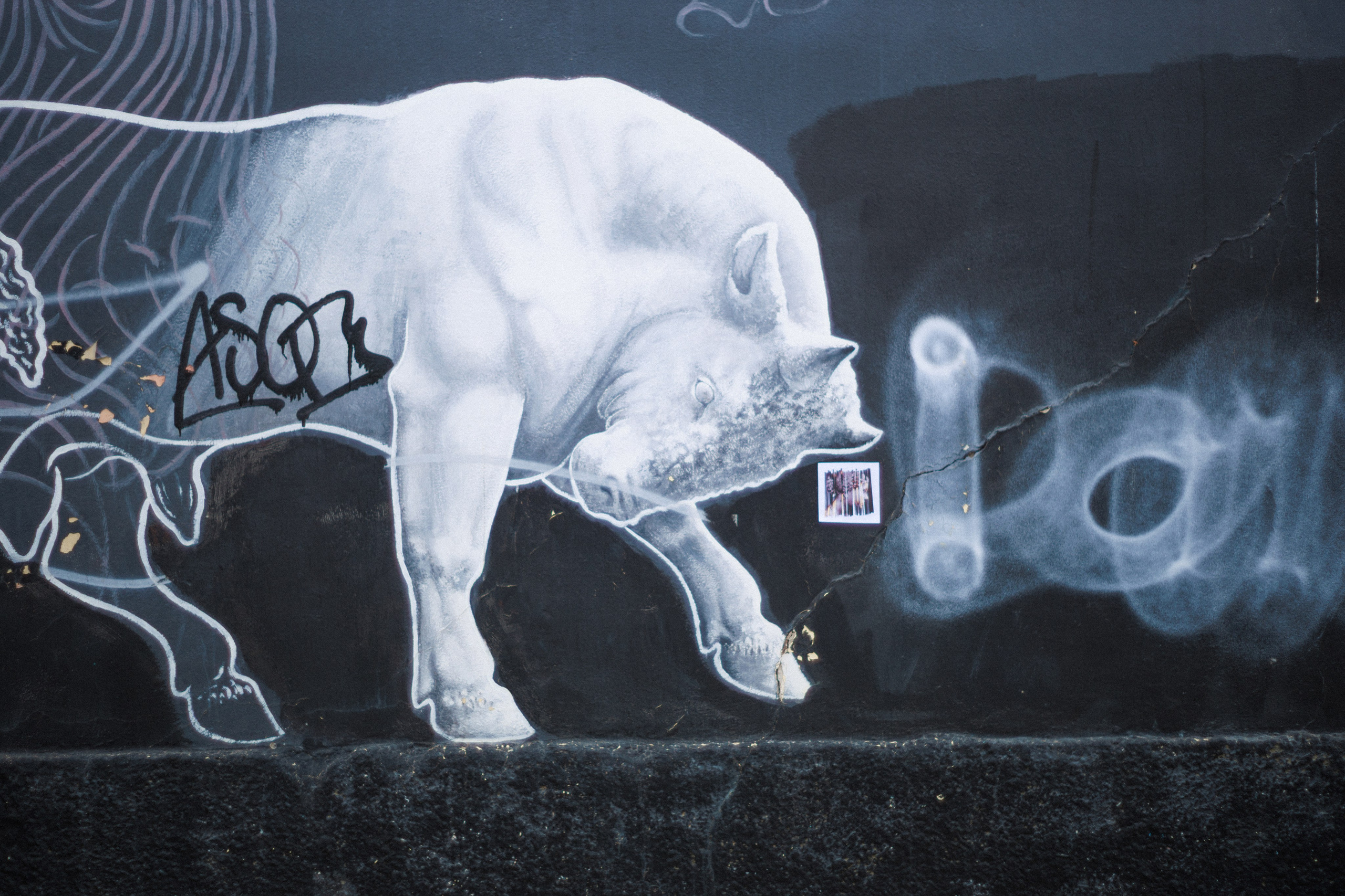 Photographer of the group street intervention “People as Letters to the City”, Athens–Istanbul, 2025. Photographer in Greece Kristina