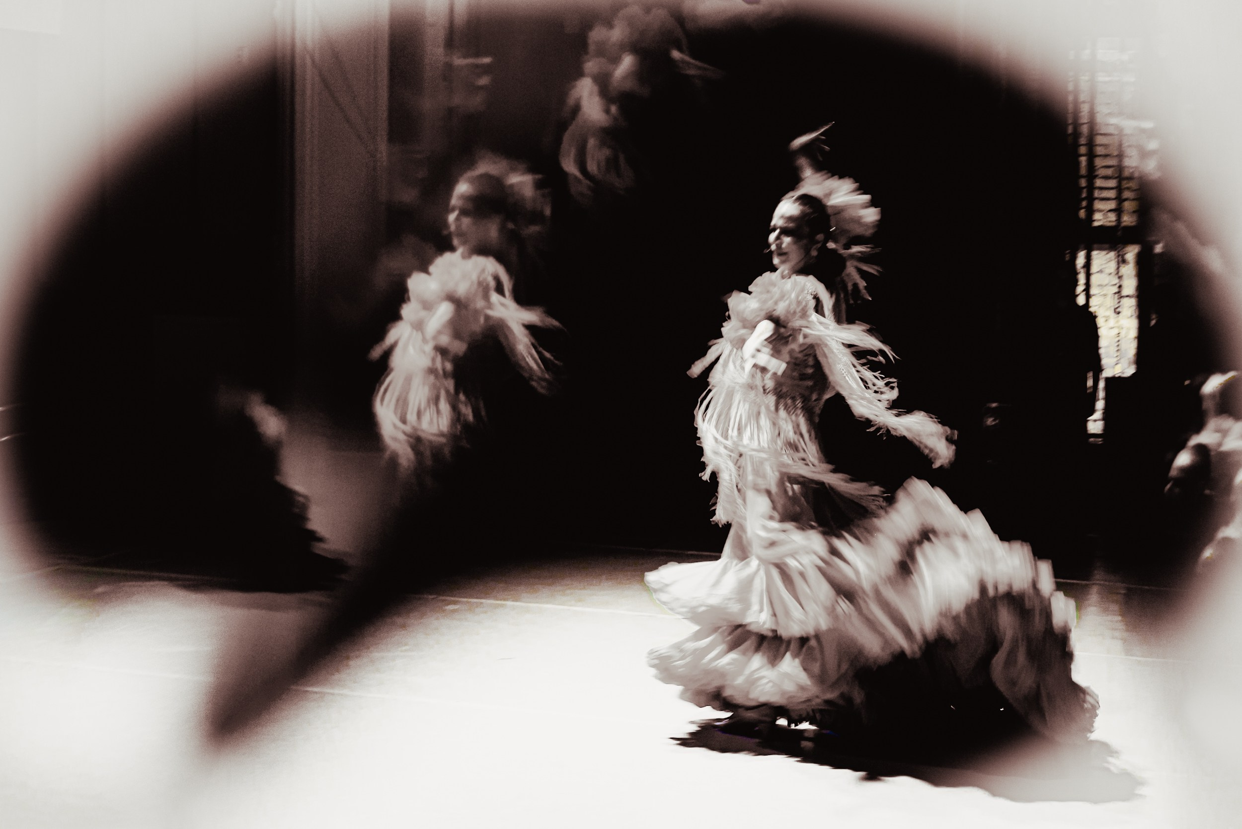 Flamenco spots. Ekaterina Tsurkina-Appina Photography Canada