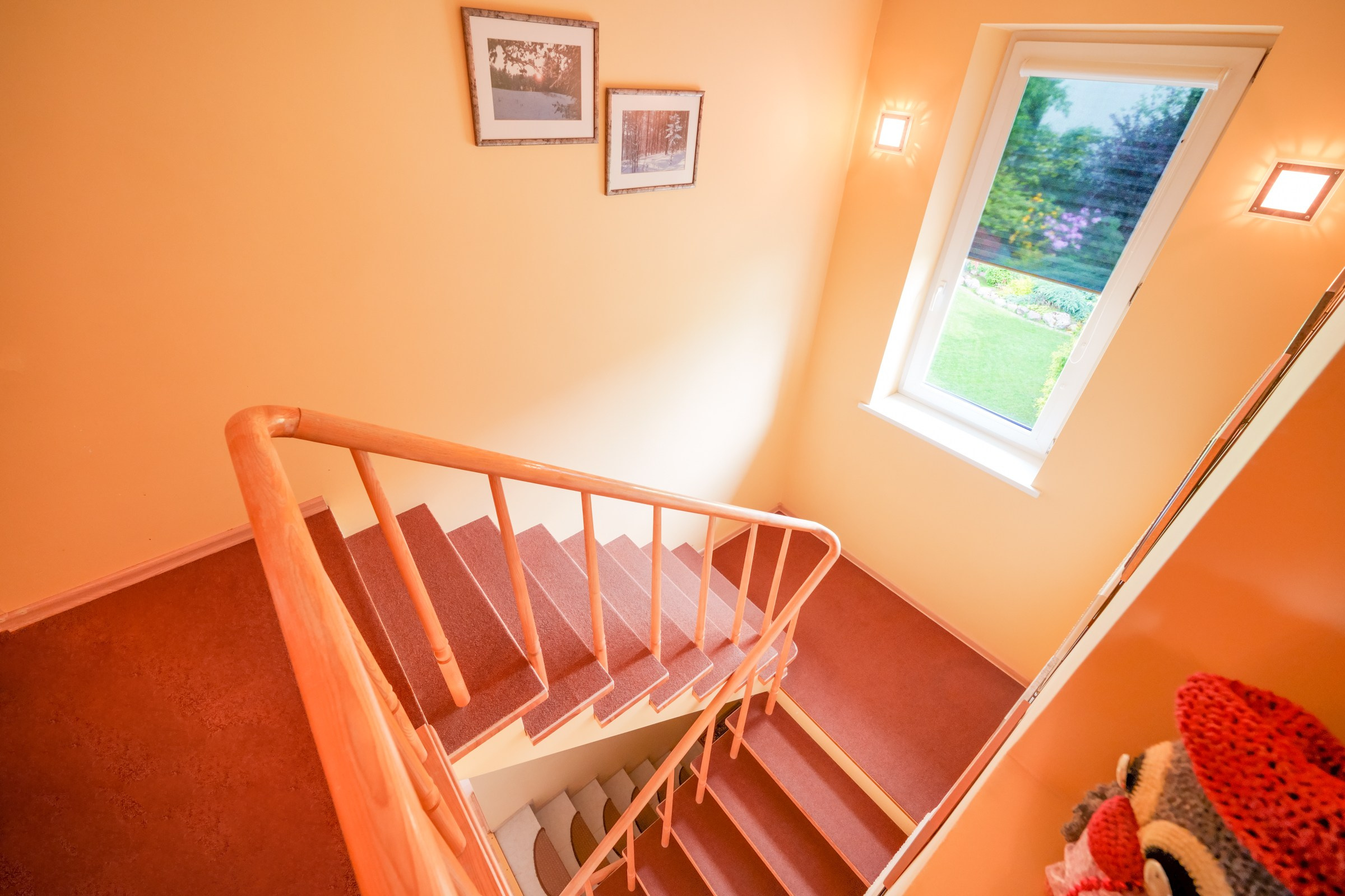 Viršupio sodų 1-oji. Elina Sapiega fotografė Vilniuje