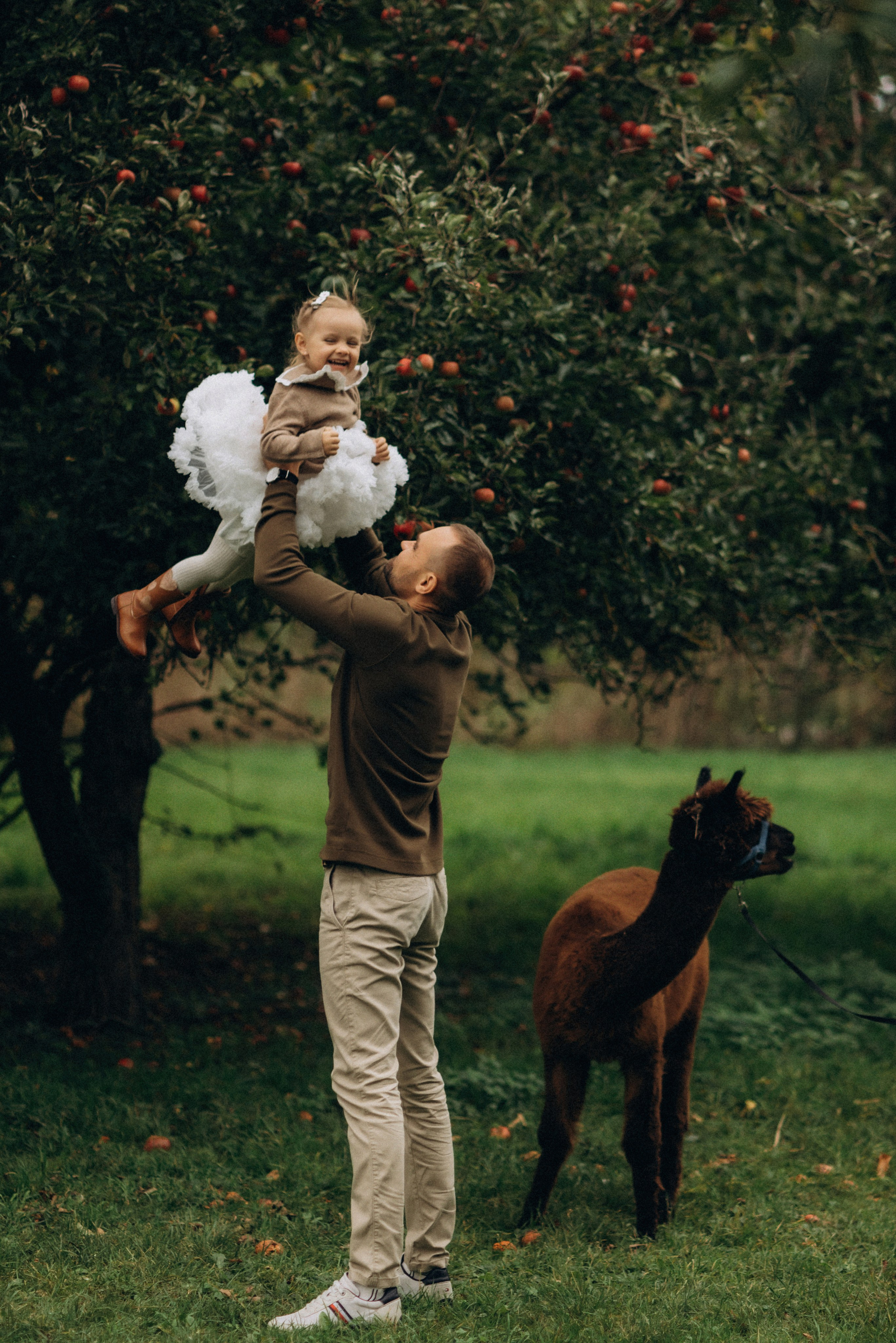 Семейная фотосессия с альпаками. Семейный фотограф Лейпциг, Германия