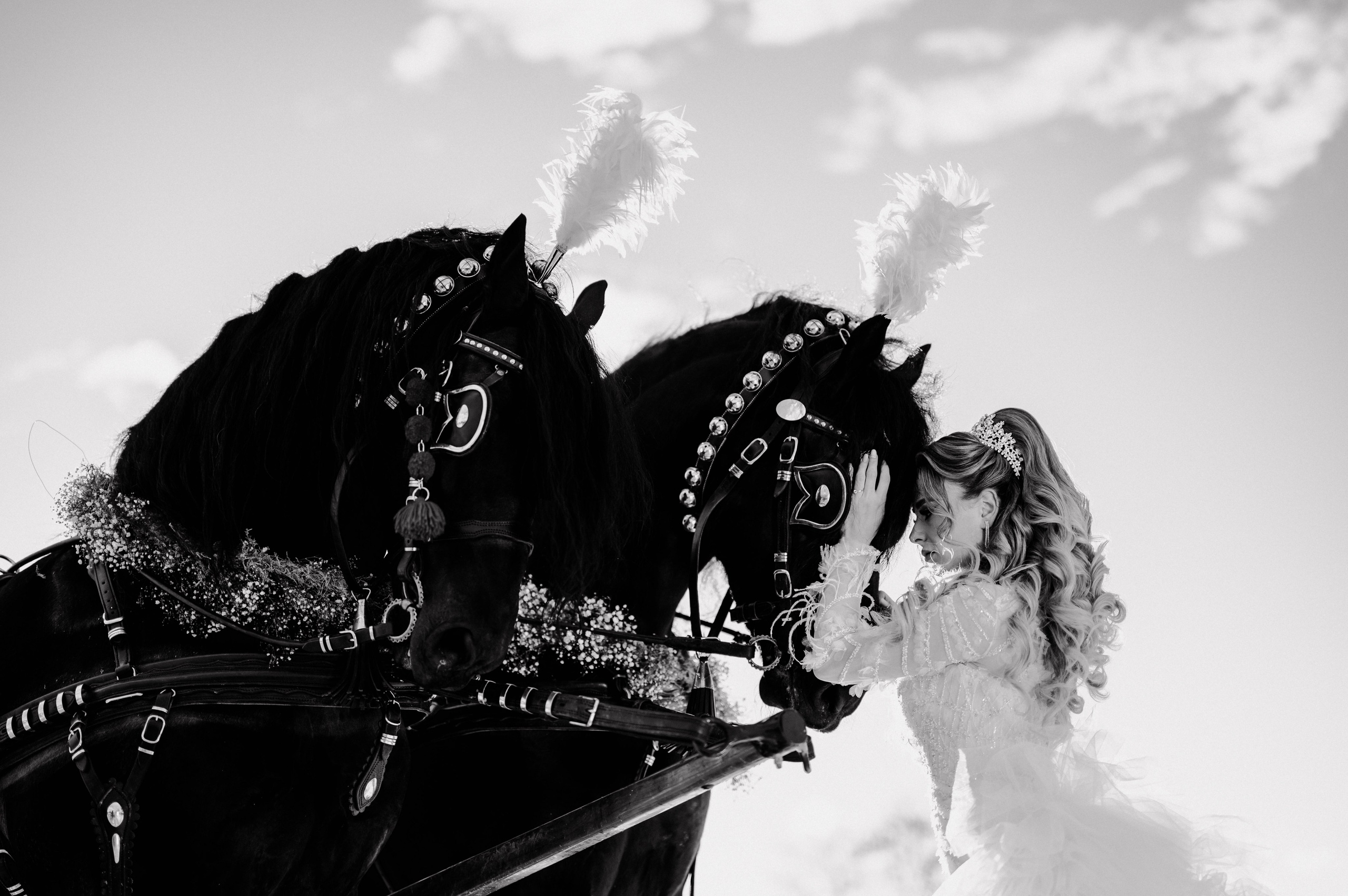 Album nunta. Fotografie & Videografie evenimente - Suceava, Romania