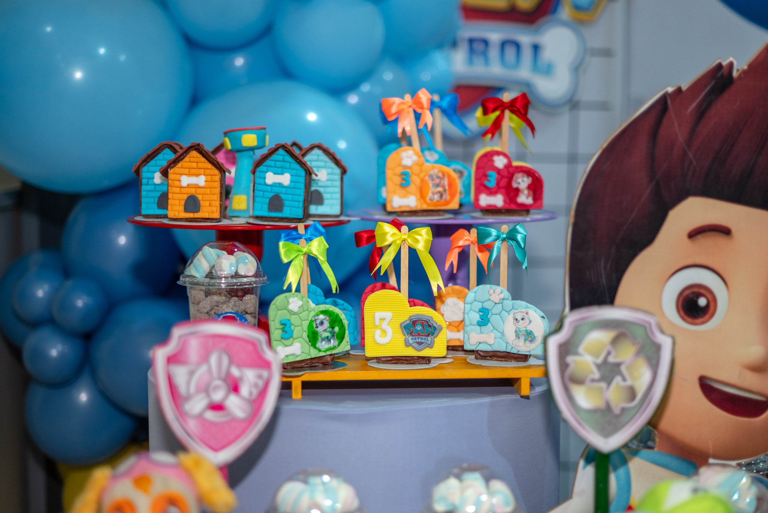 Guilherme 3 anos. Wedding photographer Ana Koshi